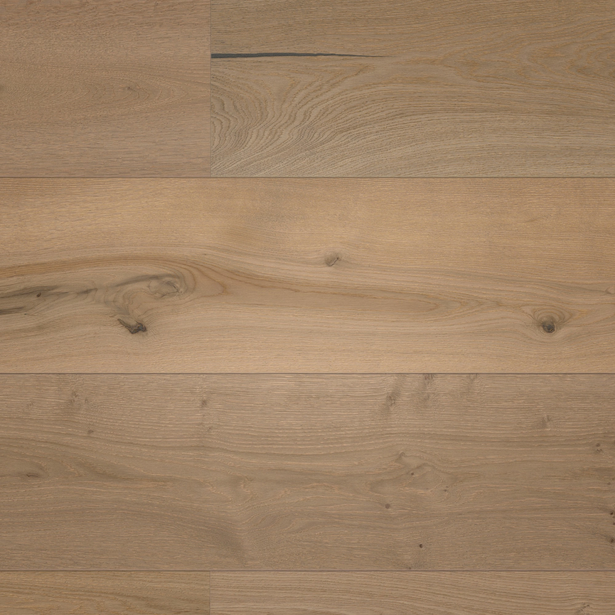 Draufsicht - MEISTER Holzboden HD 400 Lindura Eiche authentic greige Draufsicht - MEISTER 500214-2200270-08923
