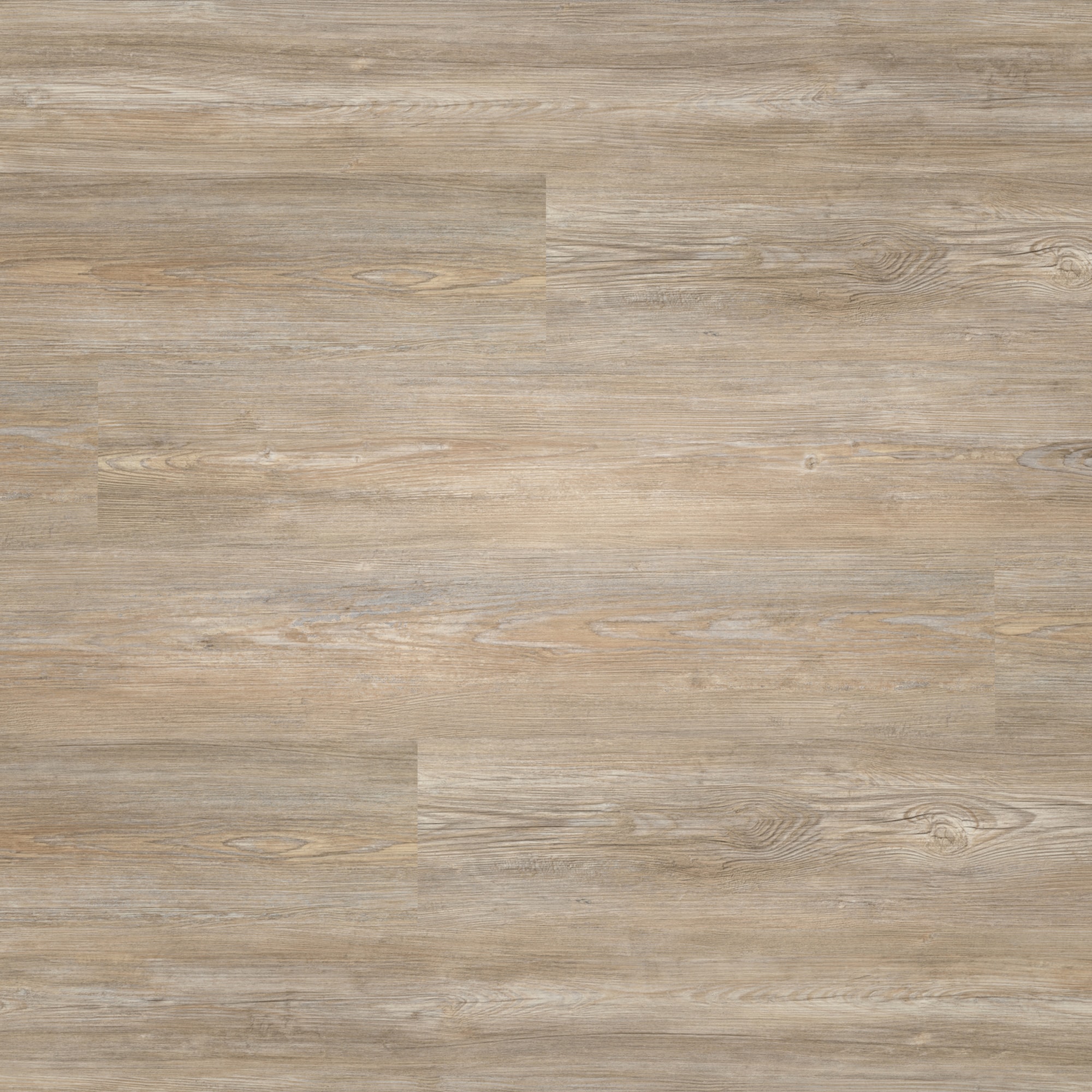 nexflor Rigid Klick-Vinyl Apollo Click Collection Olympia Oak Holzstruktur Landhausdiele nexflor Rigid Klick-Vinyl Apollo Click Collection Olympia Oak Holzstruktur Landhausdiele