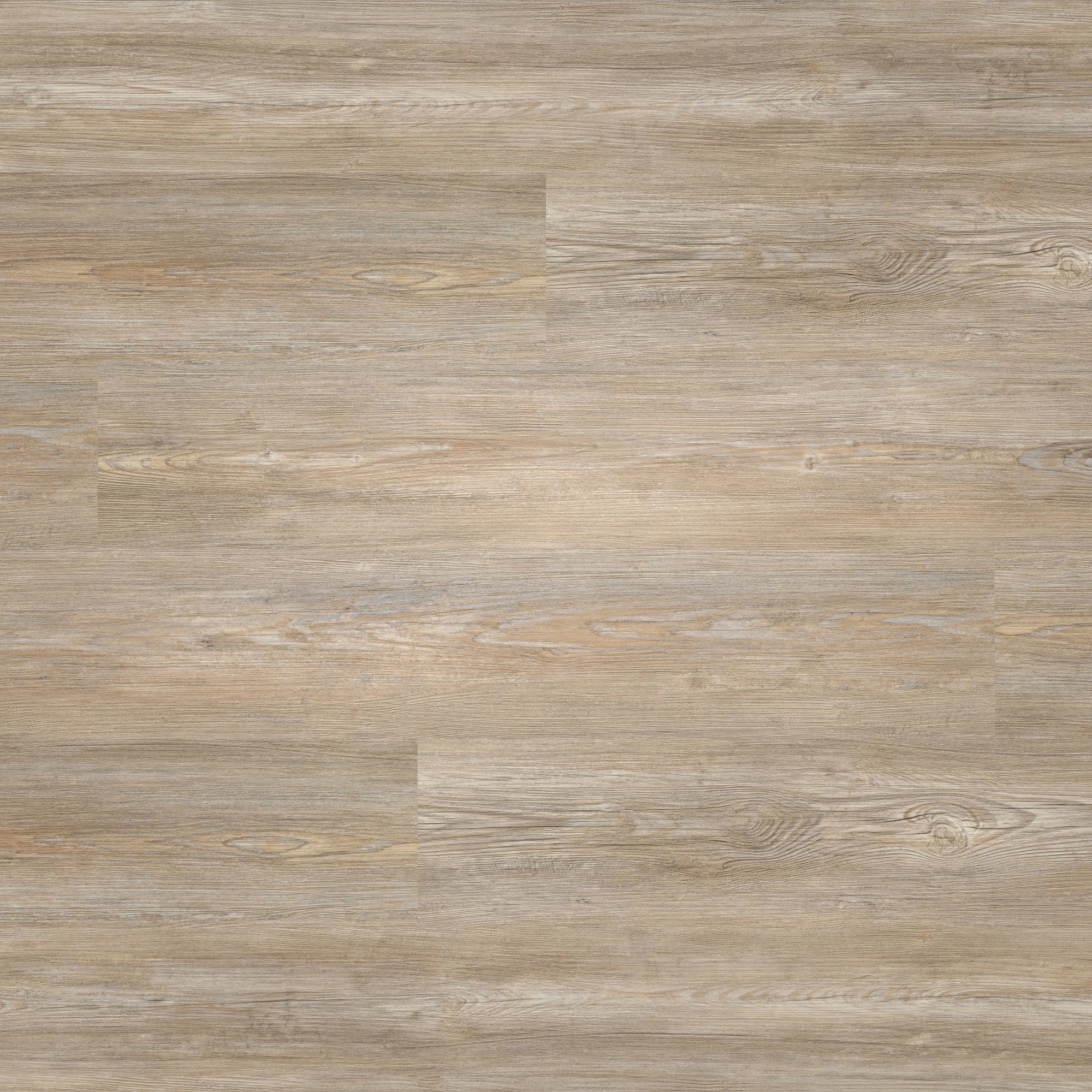 nexflor Rigid Klick-Vinyl Apollo Click Collection Olympia Oak Holzstruktur Landhausdiele nexflor Rigid Klick-Vinyl Apollo Click Collection Olympia Oak Holzstruktur Landhausdiele