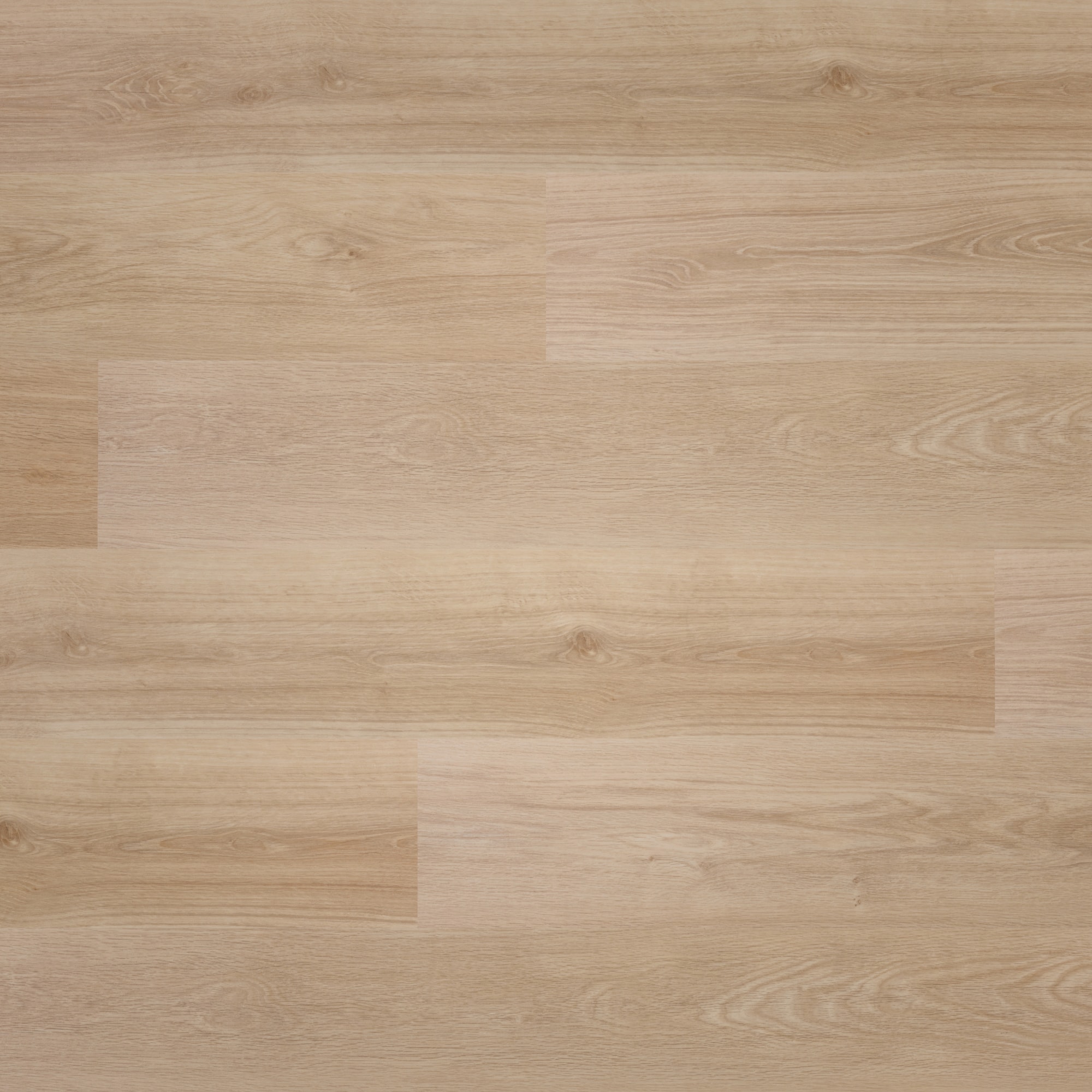 Draufsicht - BerryAlloc Klebe-Vinyl Zenn Gluedown 55 Orlando Draufsicht - BerryAlloc 60002252