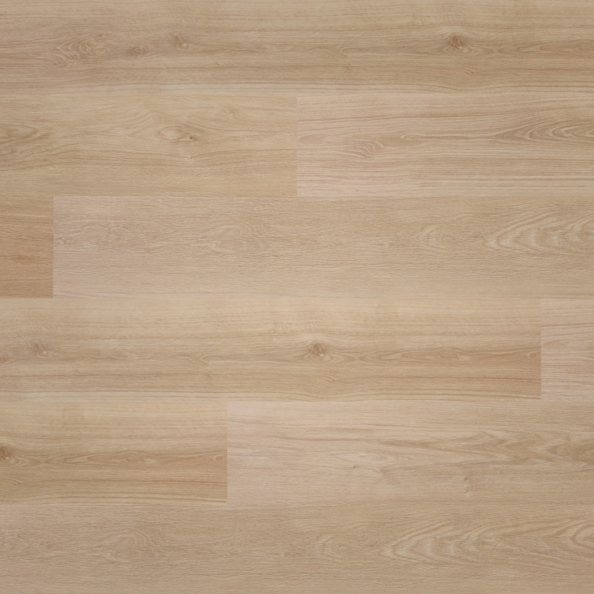 Draufsicht - BerryAlloc Klebe-Vinyl Zenn Gluedown 55 Orlando Draufsicht - BerryAlloc 60002252