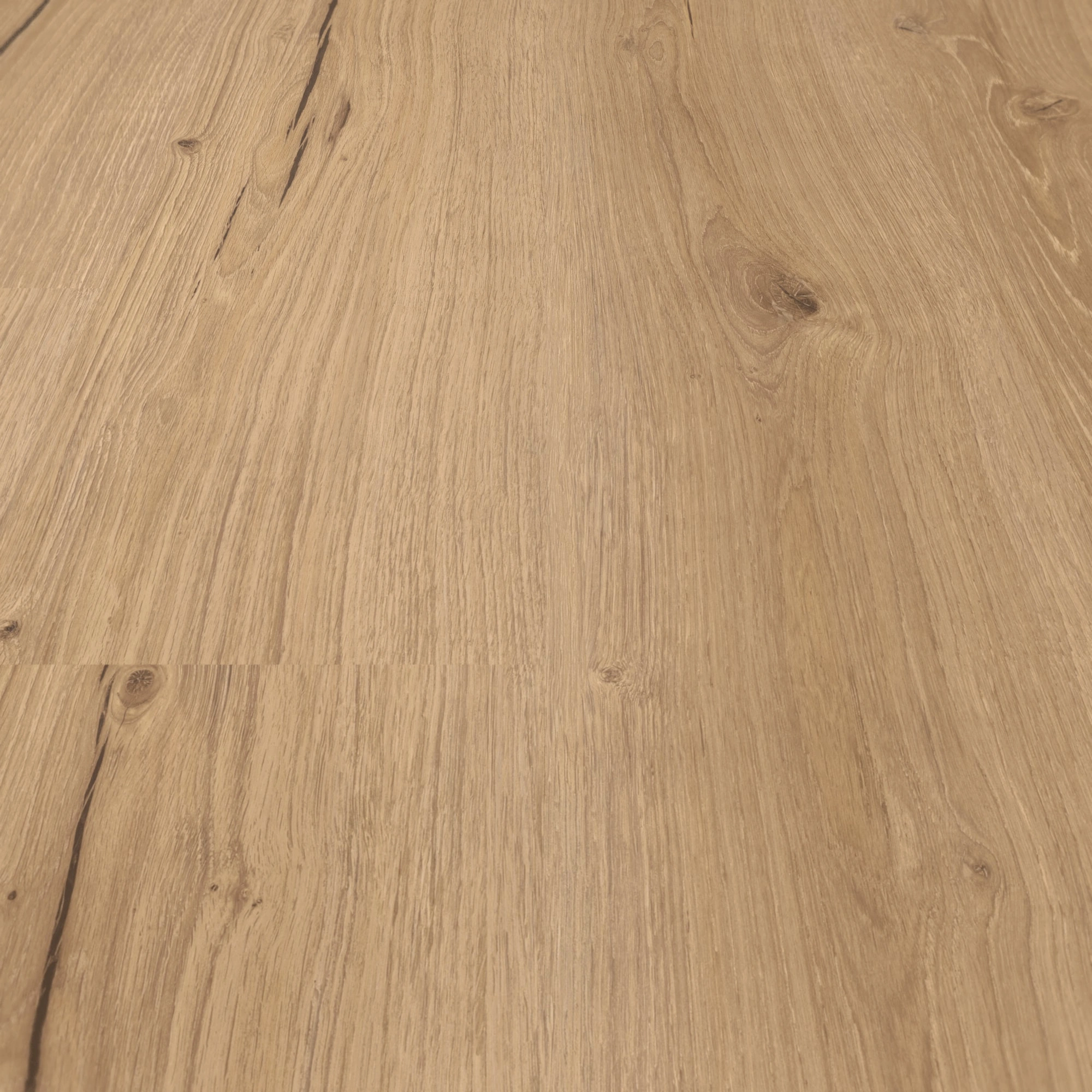Detail Ansicht - Parador HDF Klick-Vinyl Basic 30 Eiche Cambridge natur Detail Ansicht - Parador 1748796