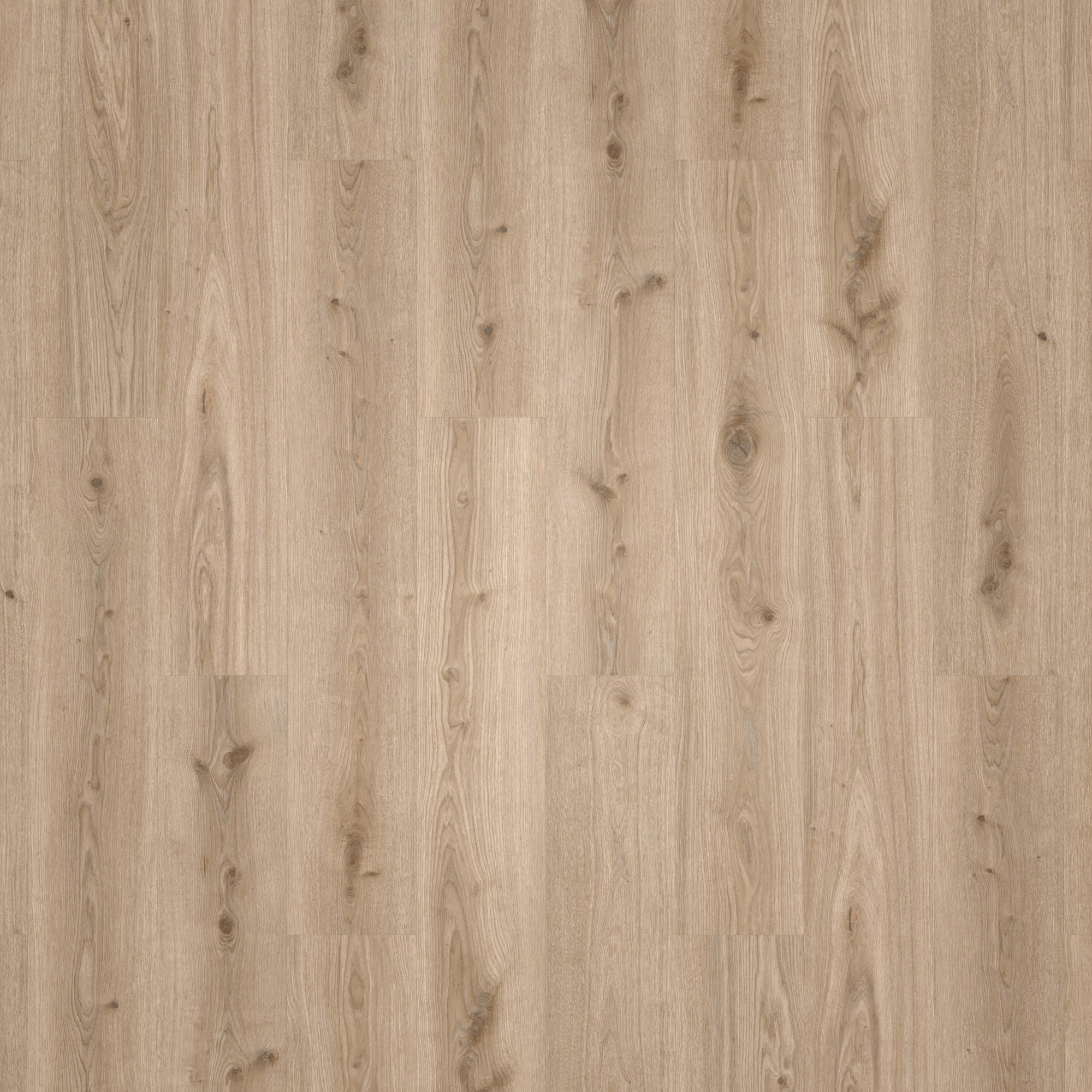 Draufsicht - Tarkett Klebe-Vinyl Essence 55 Primary Oak Light Grey Draufsicht - Tarkett 260053006