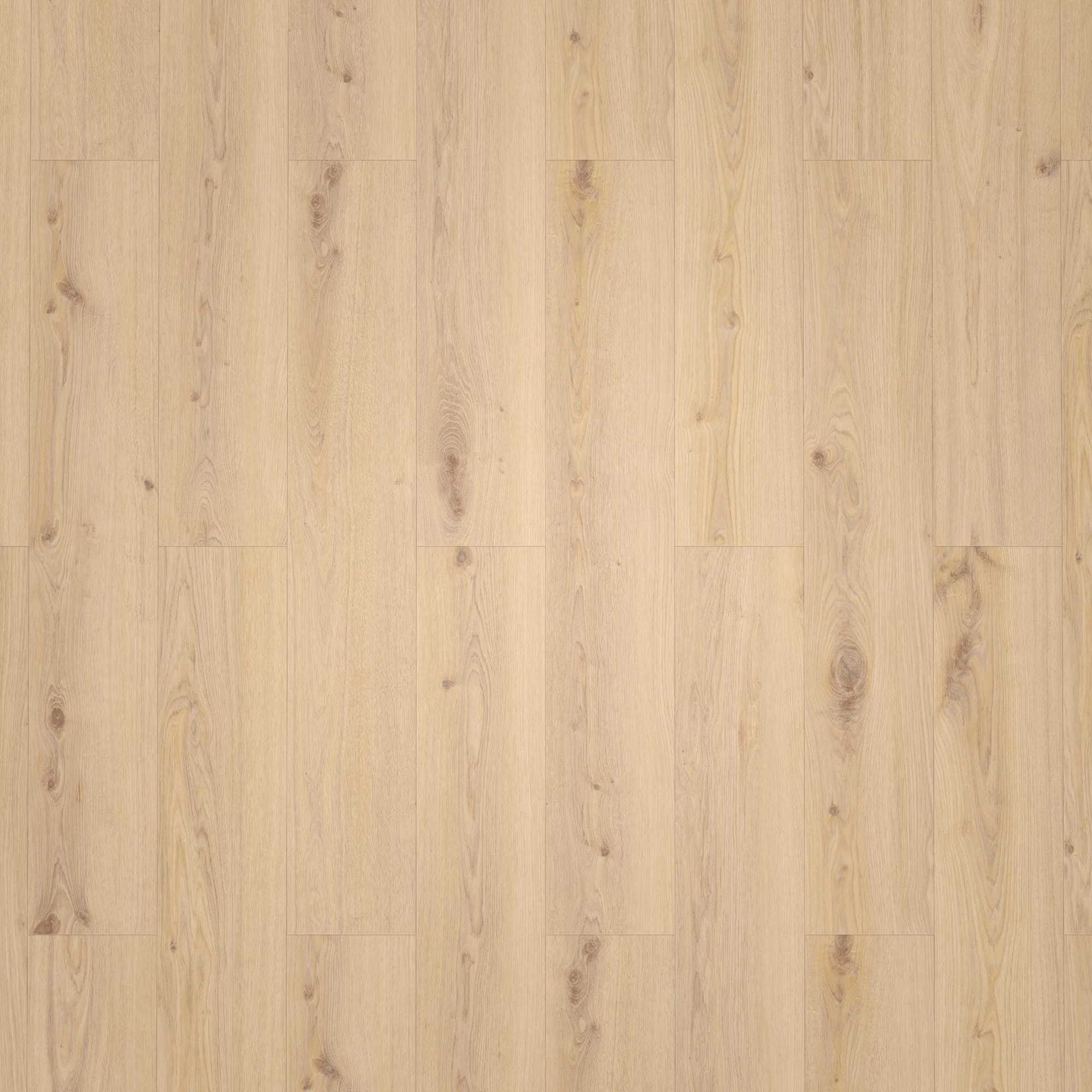 Draufsicht - Tarkett Rigid Klick-Vinyl Essence Rigid 30 Primary Oak Beige Draufsicht - Tarkett 260032003