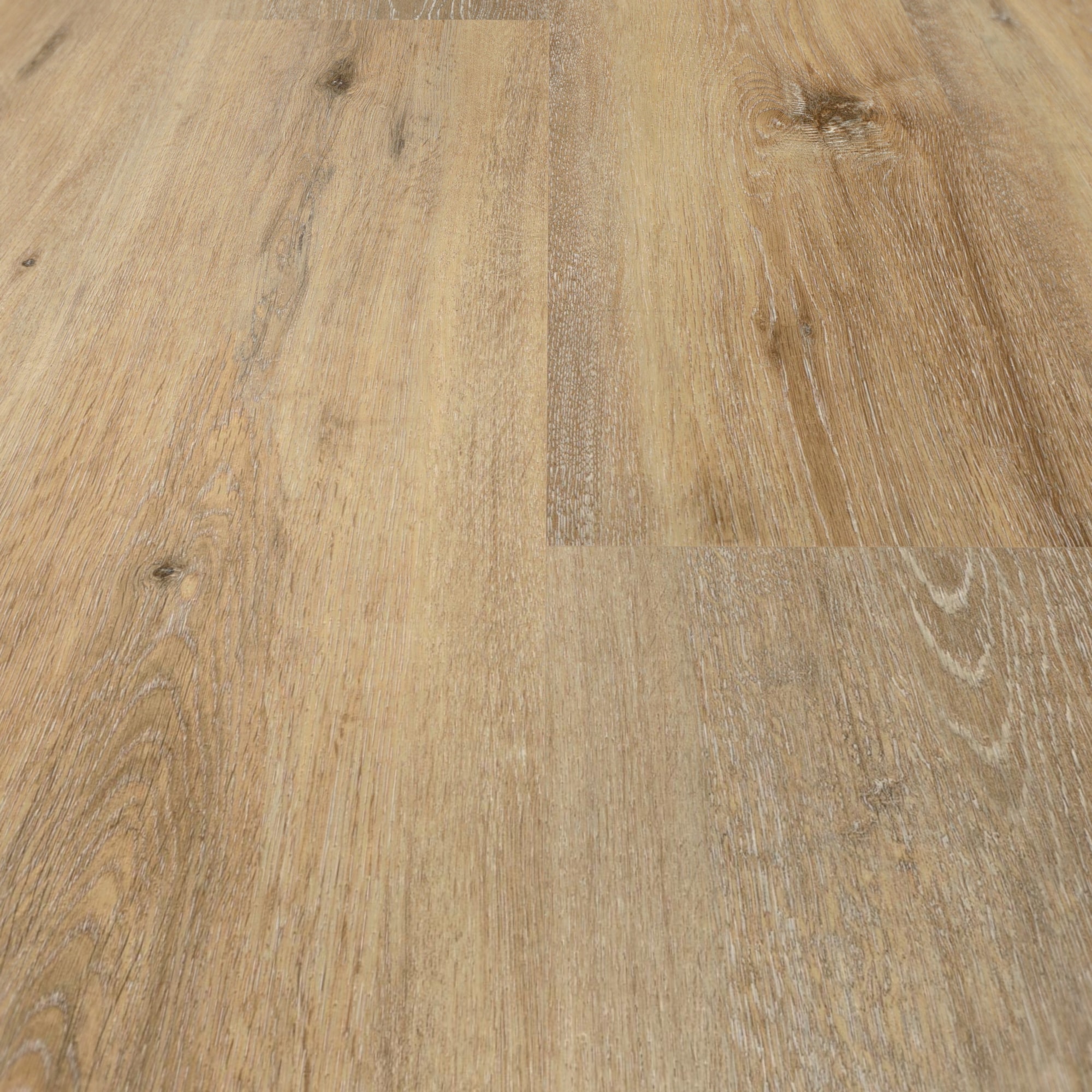 Detail Ansicht - wineo Klebe-Vinyl wineo 400 wood XL Joy Oak Tender Detail Ansicht - wineo DB126WXL