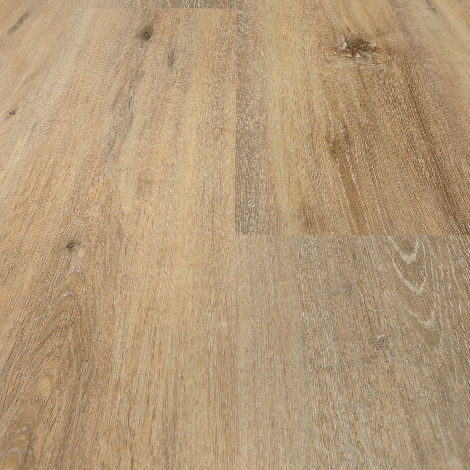 Detail Ansicht - wineo Klebe-Vinyl wineo 400 wood XL Joy Oak Tender Detail Ansicht - wineo DB126WXL