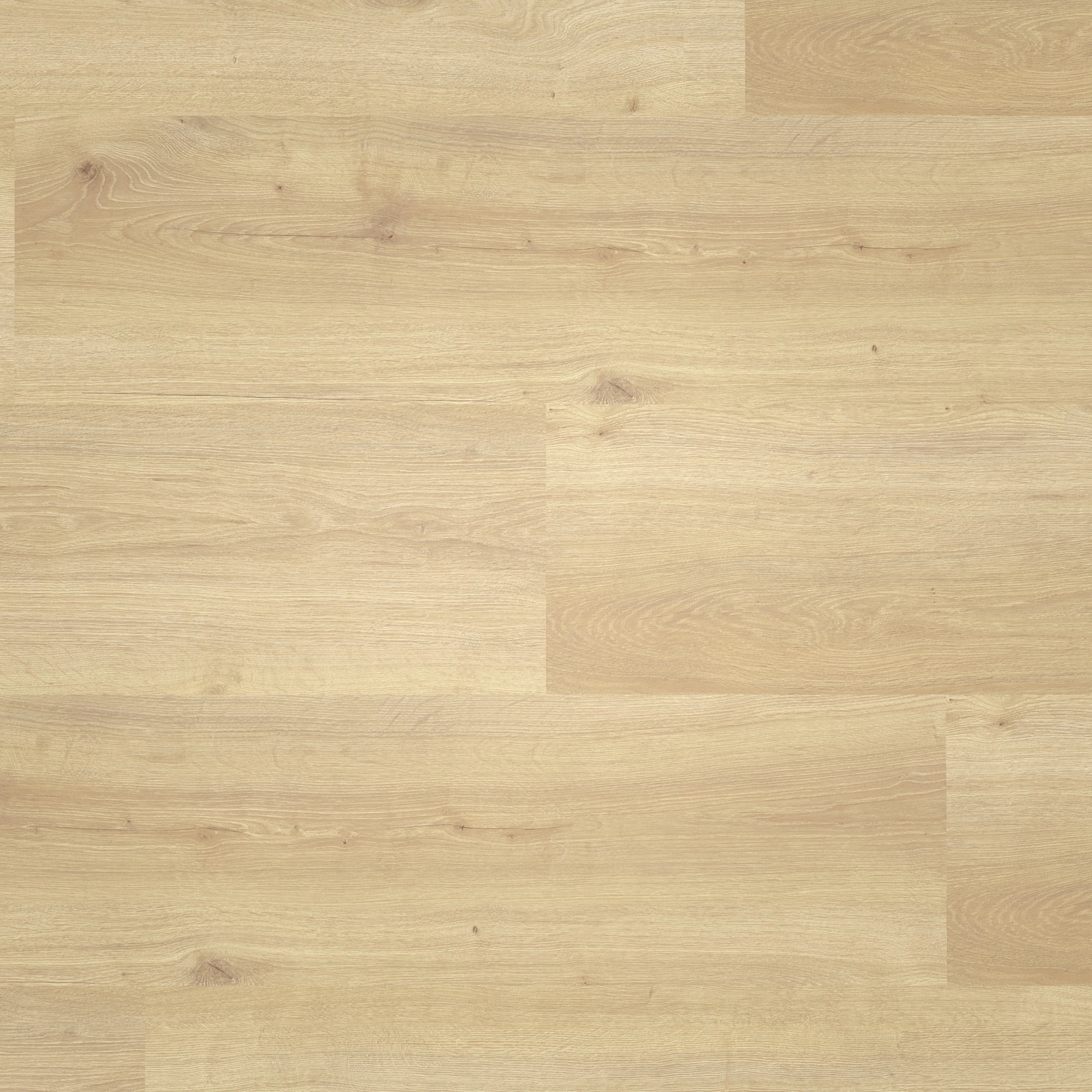 Draufsicht - ter Hürne Laminat Trend Edition Eiche Hygge Draufsicht - ter Hürne 1101021825
