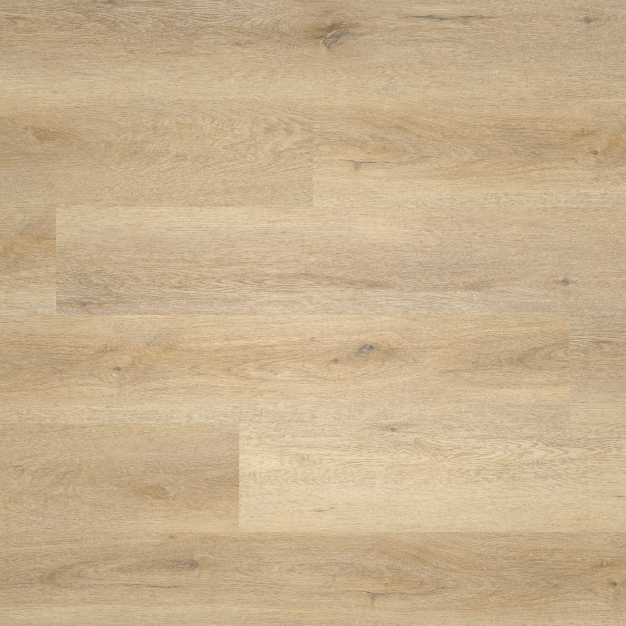 nexflor Rigid Klick-Vinyl Apollo Click Collection Mycenae Oak Holzstruktur Landhausdiele nexflor Rigid Klick-Vinyl Apollo Click Collection Mycenae Oak Holzstruktur Landhausdiele