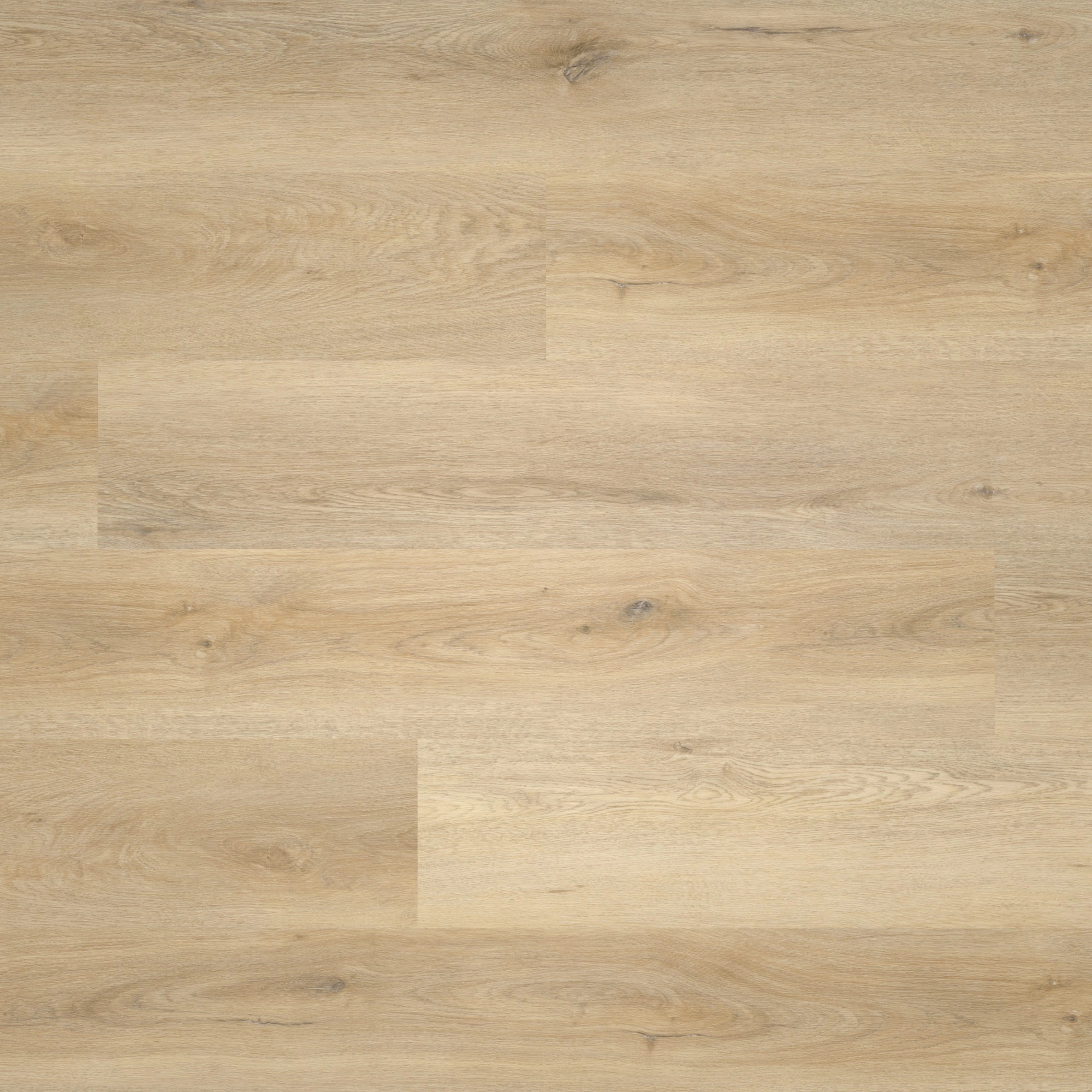 nexflor Rigid Klick-Vinyl Apollo Click Collection Mycenae Oak Holzstruktur Landhausdiele nexflor Rigid Klick-Vinyl Apollo Click Collection Mycenae Oak Holzstruktur Landhausdiele