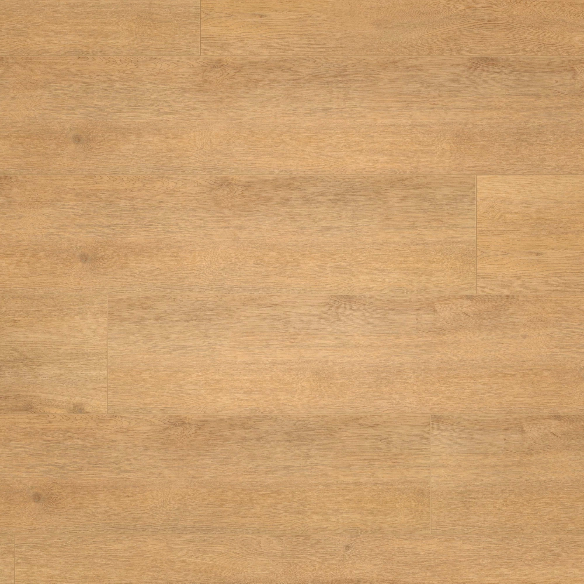 Draufsicht - wineo HDF Klick-Bioboden PURLINE wineo 1200 wood XXL Let's go Max Draufsicht - wineo MLP270R