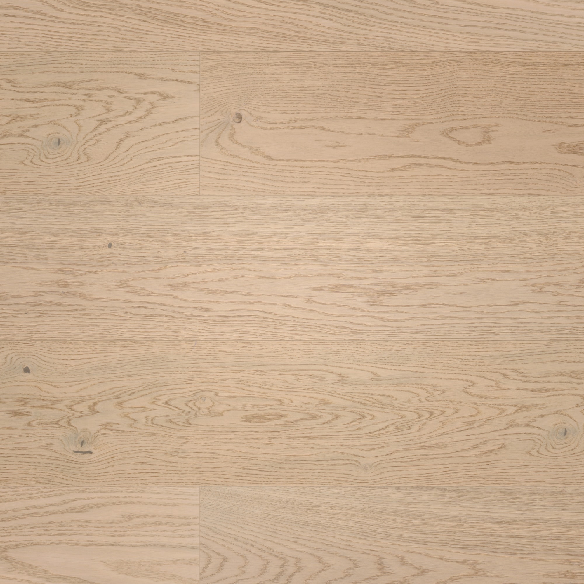 Draufsicht - MEISTER Furnierboden HD 100 Natureflex Eiche lebhaft cremeweiß Draufsicht - MEISTER 500139-2200210-20014