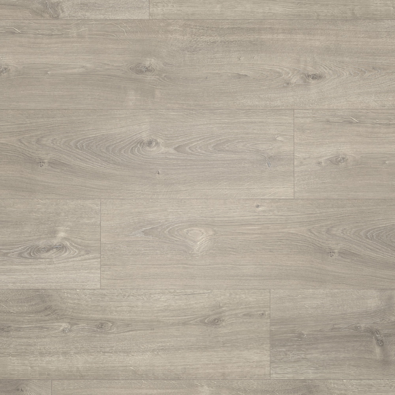 Parador Laminat Basic 600 Eiche Valere perlgrau gekälkt Naturstruktur mit Synchronstruktur Landhausdiele
