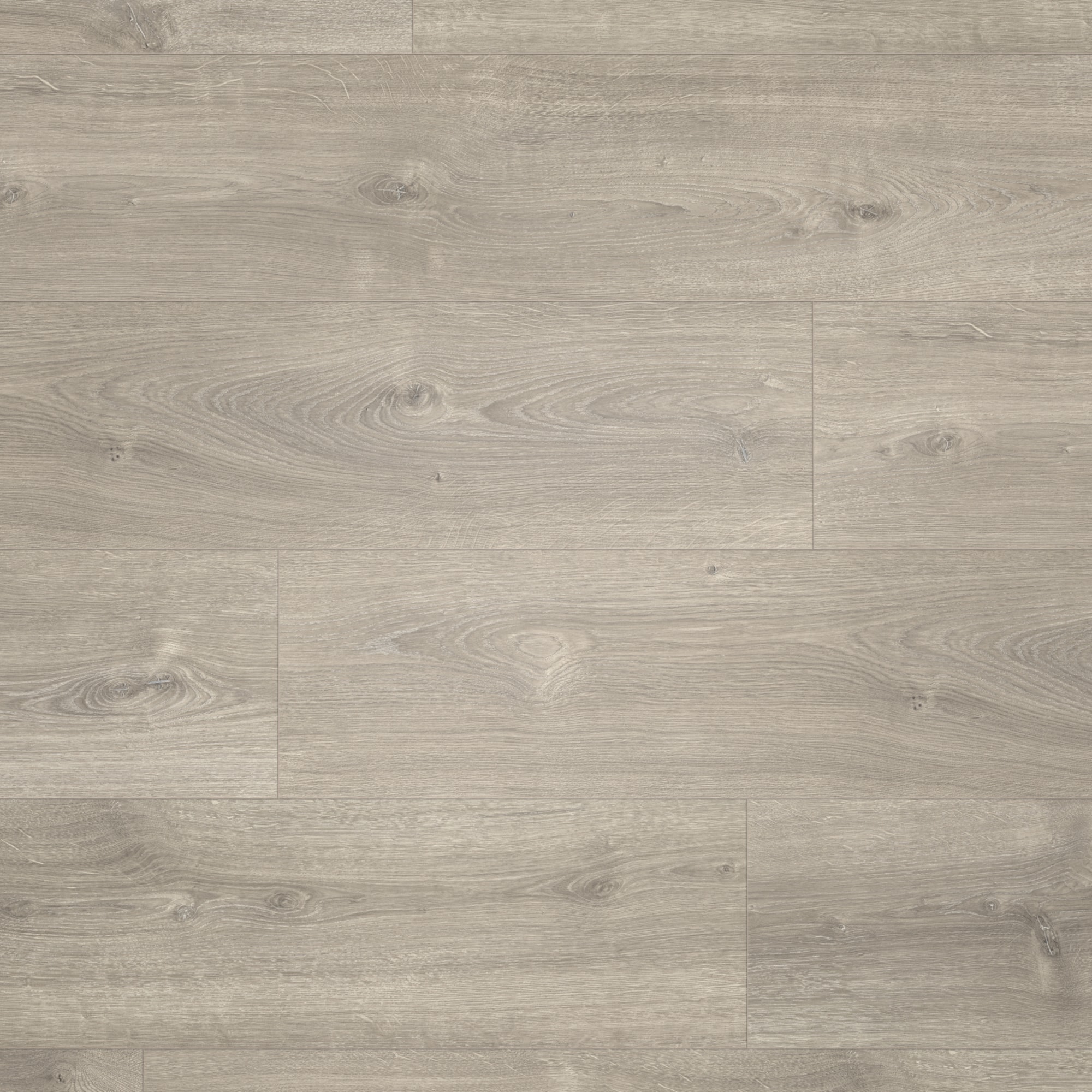 Parador Laminat Basic 600 Eiche Valere perlgrau gekälkt Naturstruktur mit Synchronstruktur Landhausdiele Parador Laminat Basic 600 Eiche Valere perlgrau gekälkt Naturstruktur mit Synchronstruktur Landhausdiele