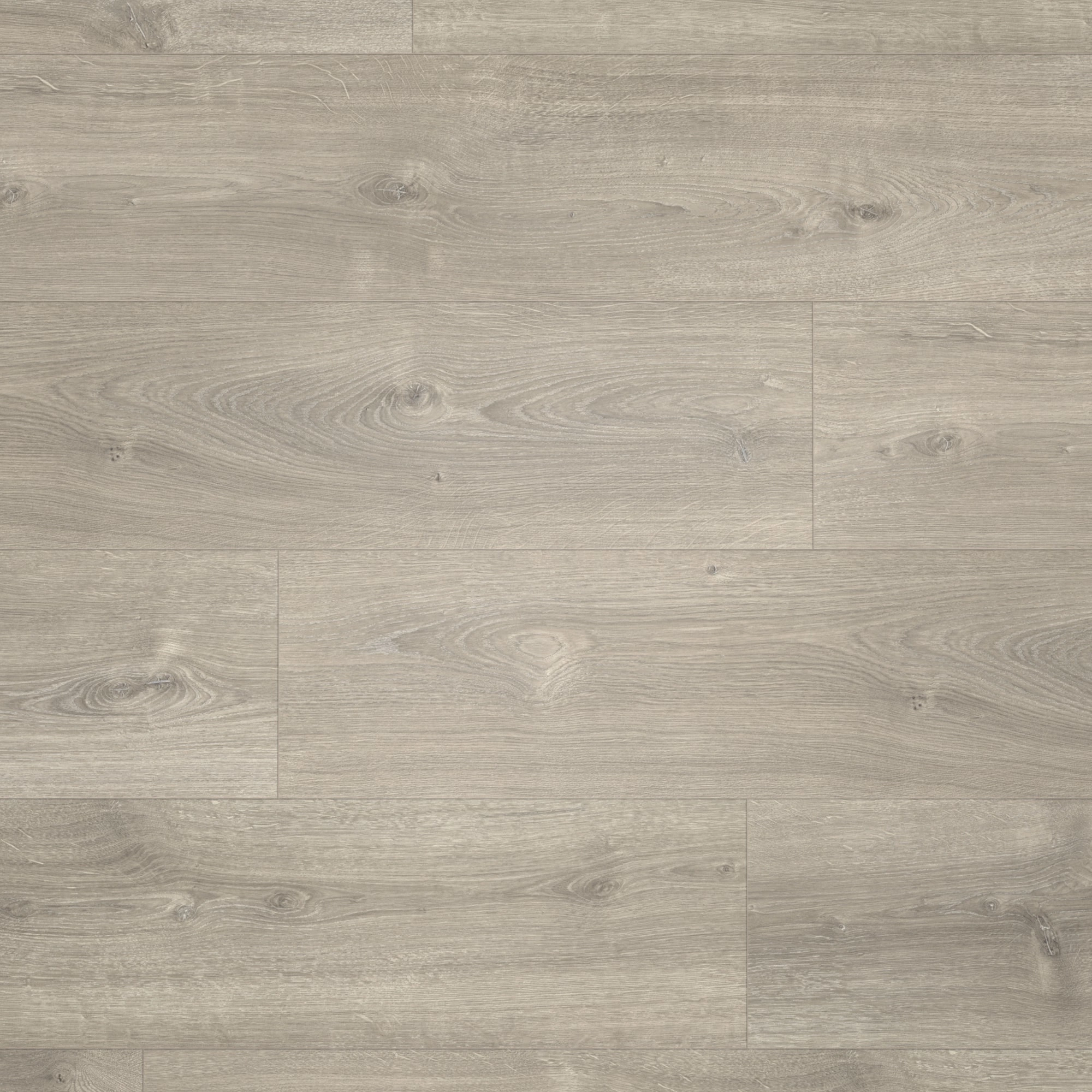 Parador Laminat Basic 600 Eiche Valere perlgrau gekälkt Naturstruktur mit Synchronstruktur Landhausdiele Parador Laminat Basic 600 Eiche Valere perlgrau gekälkt Naturstruktur mit Synchronstruktur Landhausdiele