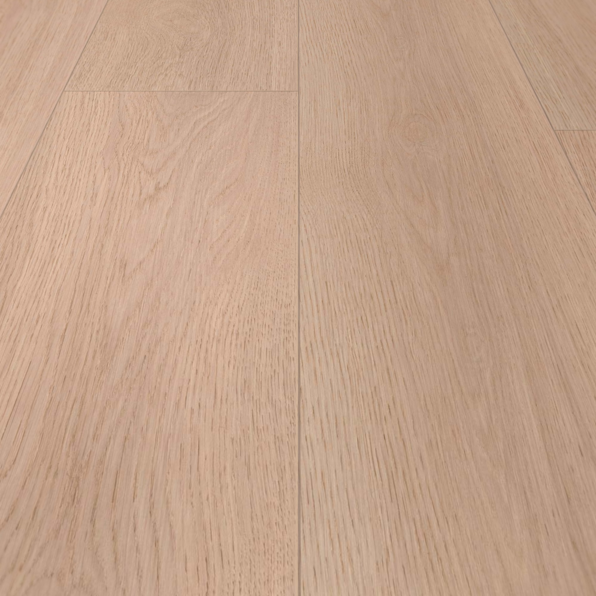 Detail Ansicht - wineo HDF Klick-Bioboden PURLINE wineo 1000 wood XL Calm Oak Shell Detail Ansicht - wineo MLP306R