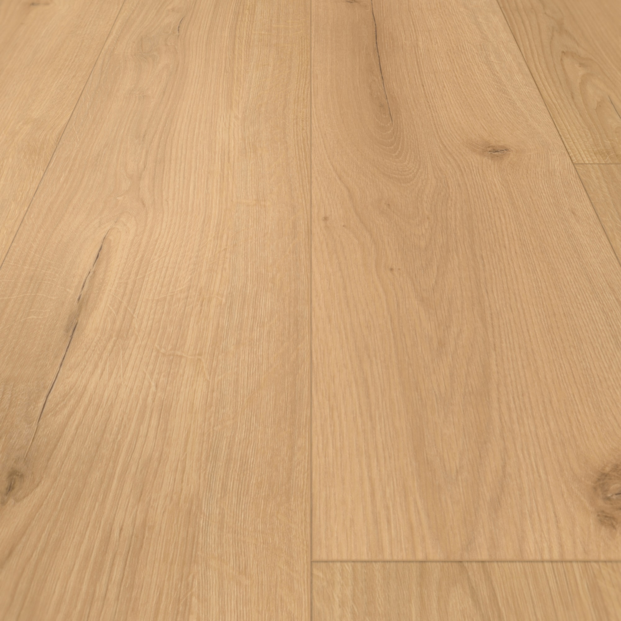 Detail Ansicht - Parador Rigid Klick-Vinyl Basic 5.3 Eiche Infinity natur Detail Ansicht - Parador 1744607
