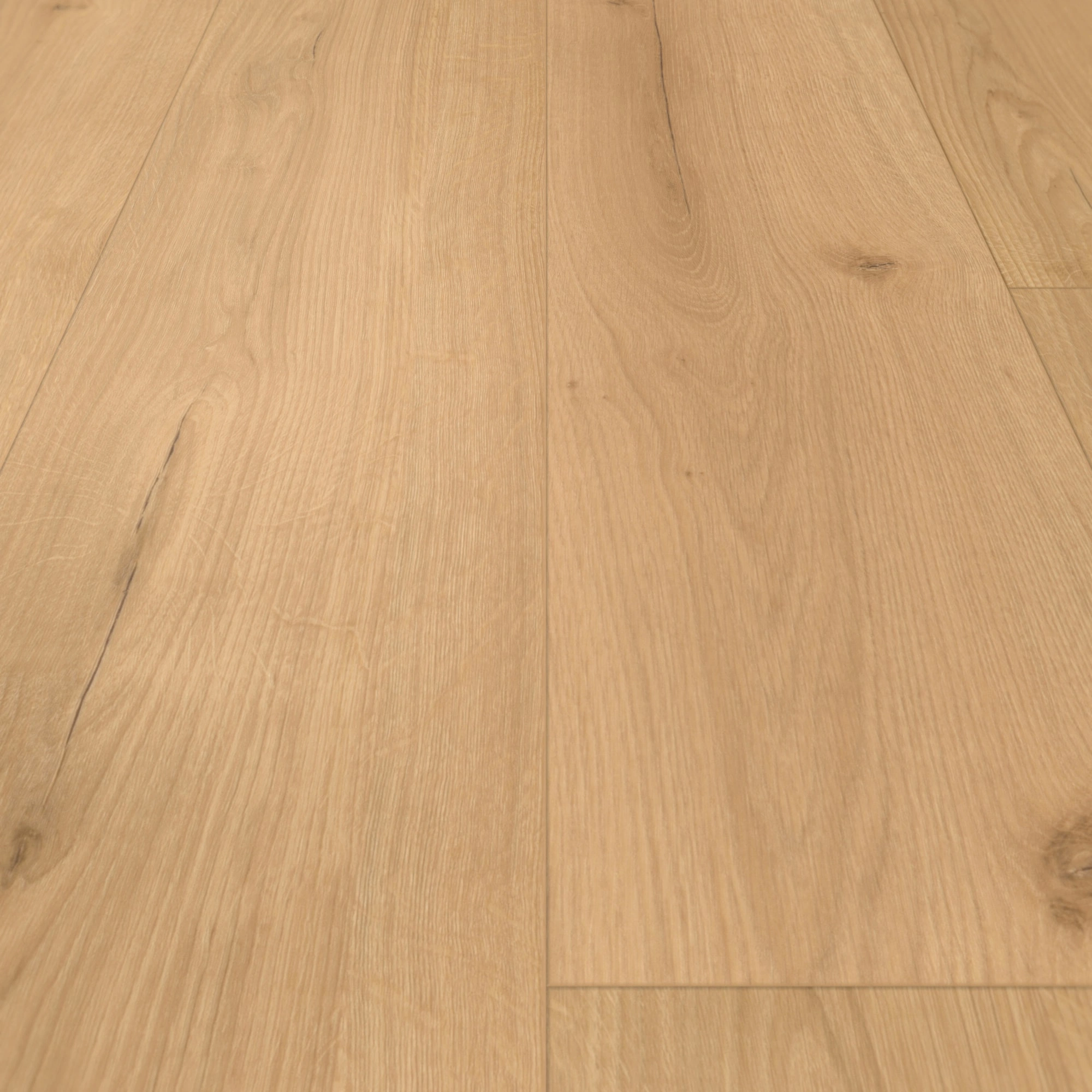 Detail Ansicht - Parador Rigid Klick-Vinyl Basic 5.3 Eiche Infinity natur Detail Ansicht - Parador 1744607