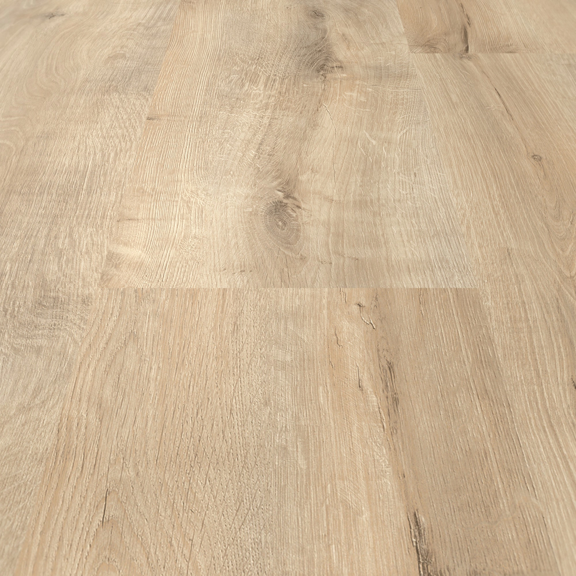 Detail Ansicht - ter Hürne Laminat Trend Edition Eiche Urban Detail Ansicht - ter Hürne 1101021824