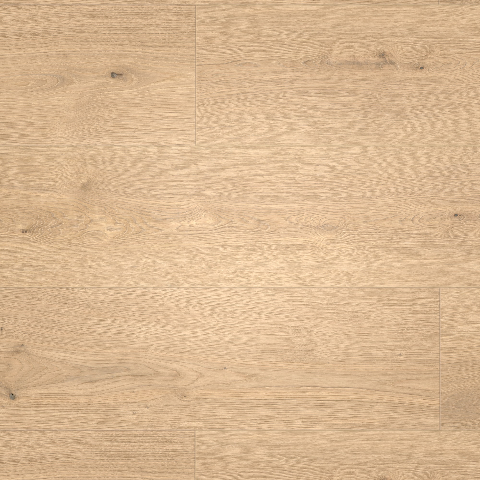 Draufsicht - MEISTER Klebe-Designboden DD 250 Lakewood Oak natural Draufsicht - MEISTER 400053-1290253-07456