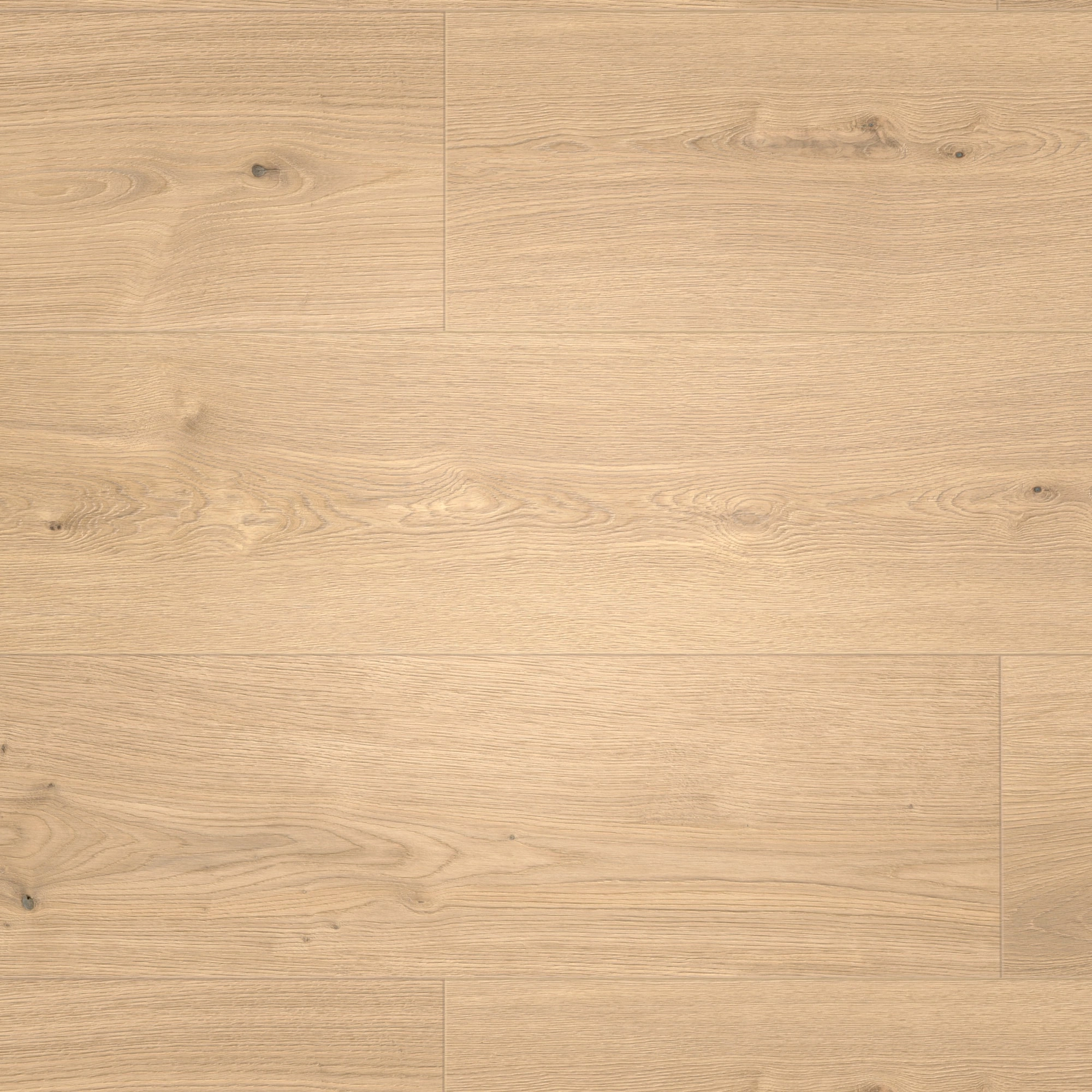 Draufsicht - MEISTER Klebe-Designboden DD 250 Lakewood Oak natural Draufsicht - MEISTER 400053-1290253-07456