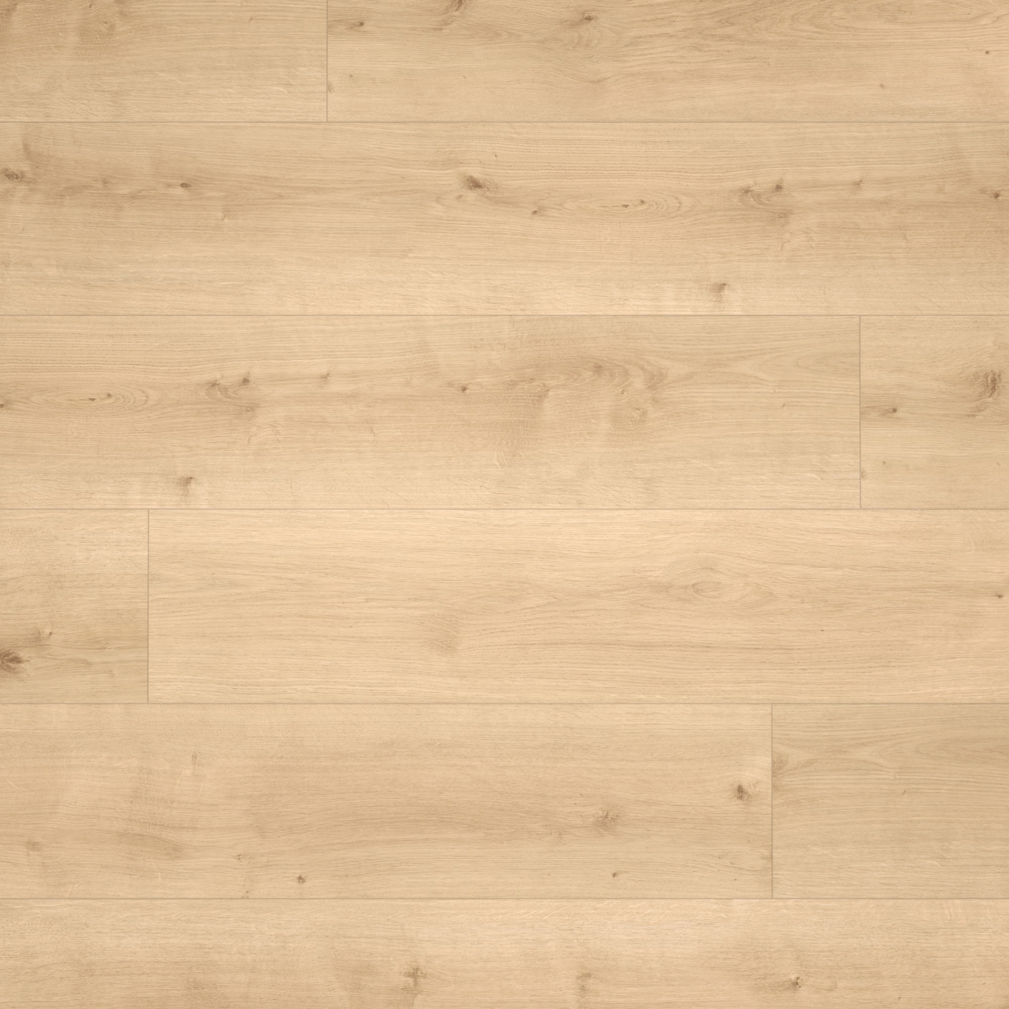 Parador HDF Klick-Designboden Modular ONE Eiche Pure hell Holzstruktur Schlossdiele Parador HDF Klick-Designboden Modular ONE Eiche Pure hell Holzstruktur Schlossdiele