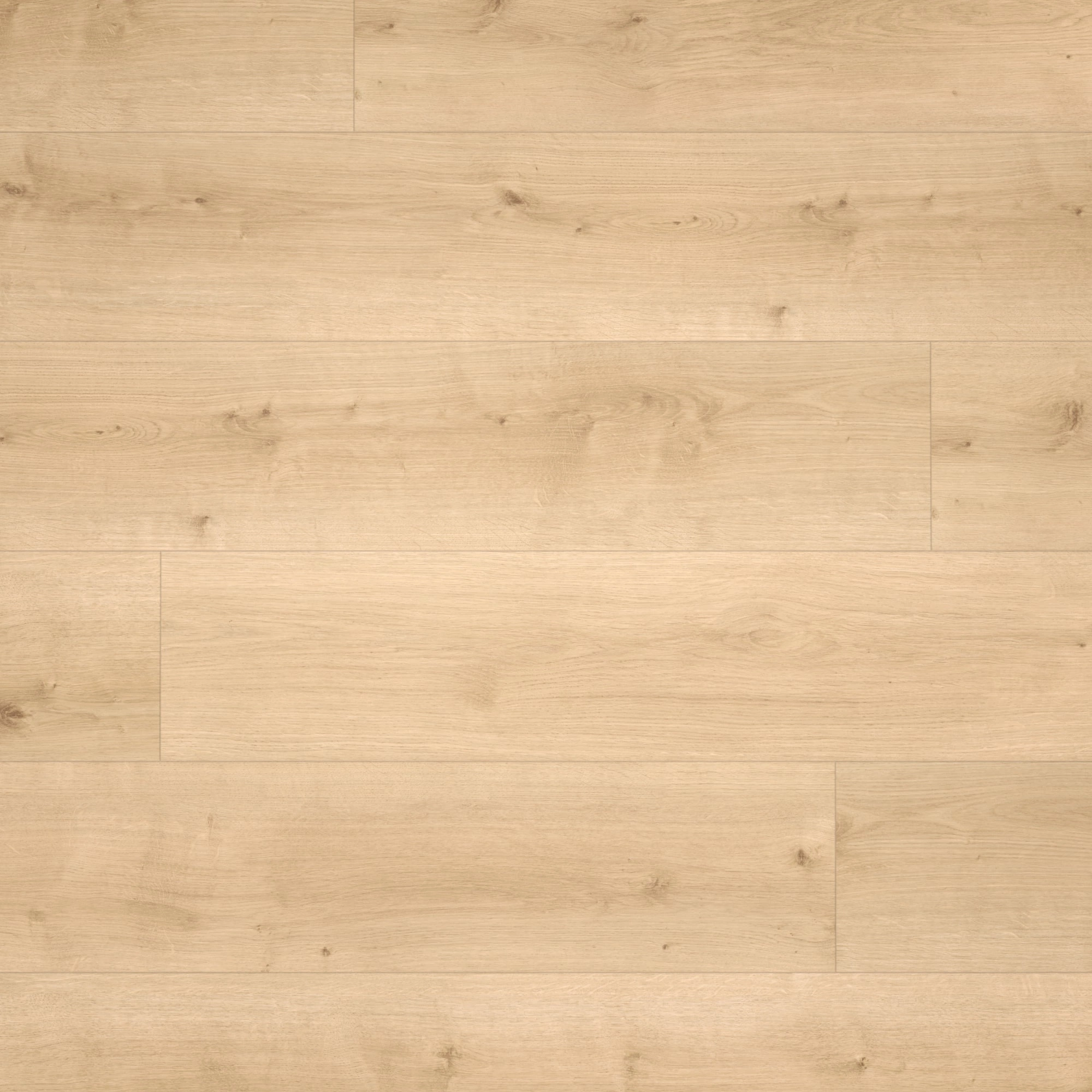 Parador HDF Klick-Designboden Modular ONE Eiche Pure hell Holzstruktur Schlossdiele Parador HDF Klick-Designboden Modular ONE Eiche Pure hell Holzstruktur Schlossdiele