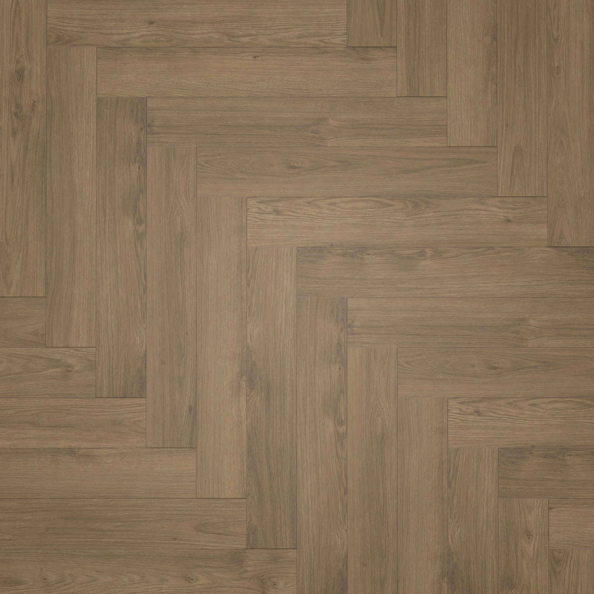 Draufsicht - Parador Laminat Trendtime 3 Eiche Mont Blanc dunkelbraun Draufsicht - Parador 1748754