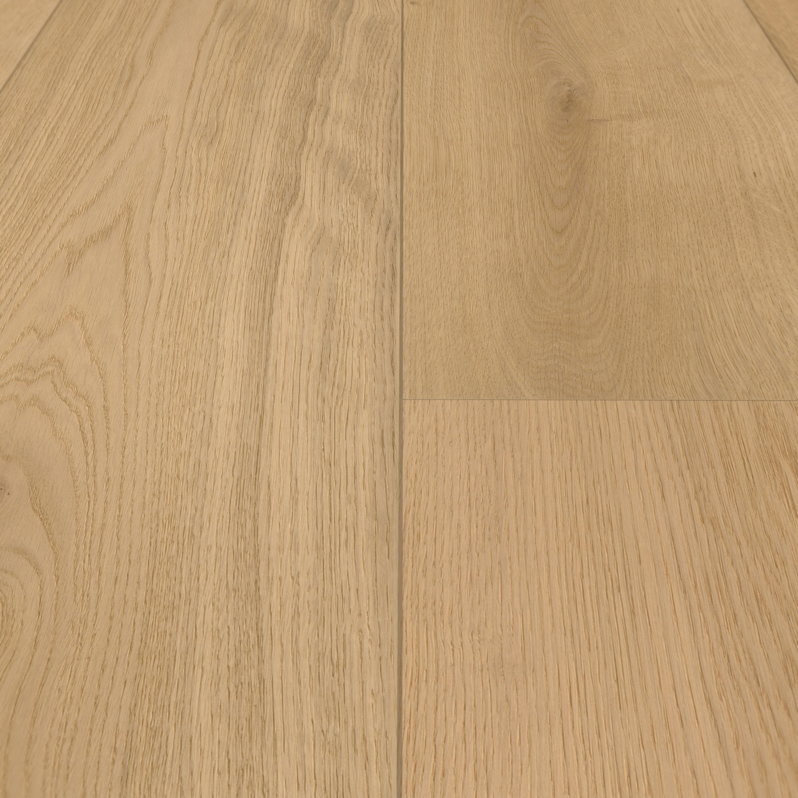 Detail Ansicht - MEISTER 500214-2600320-08921