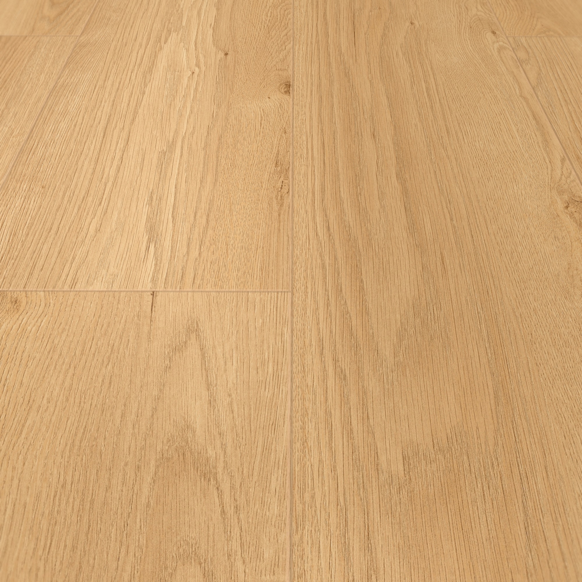 Detail Ansicht - MEISTER 400053-1290253-07450