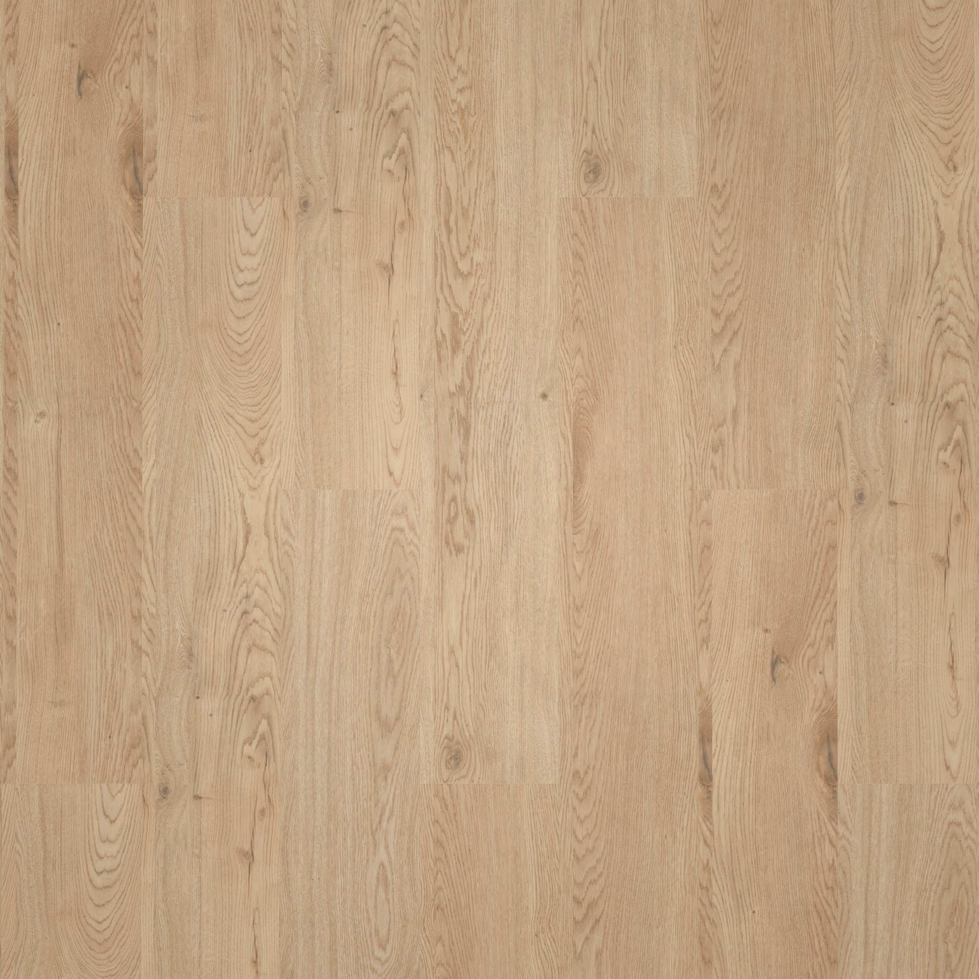 Draufsicht - ter Hürne Klebe-Vinyl Pro Grand Choice Eiche Dublin Draufsicht - ter Hürne 1101210402