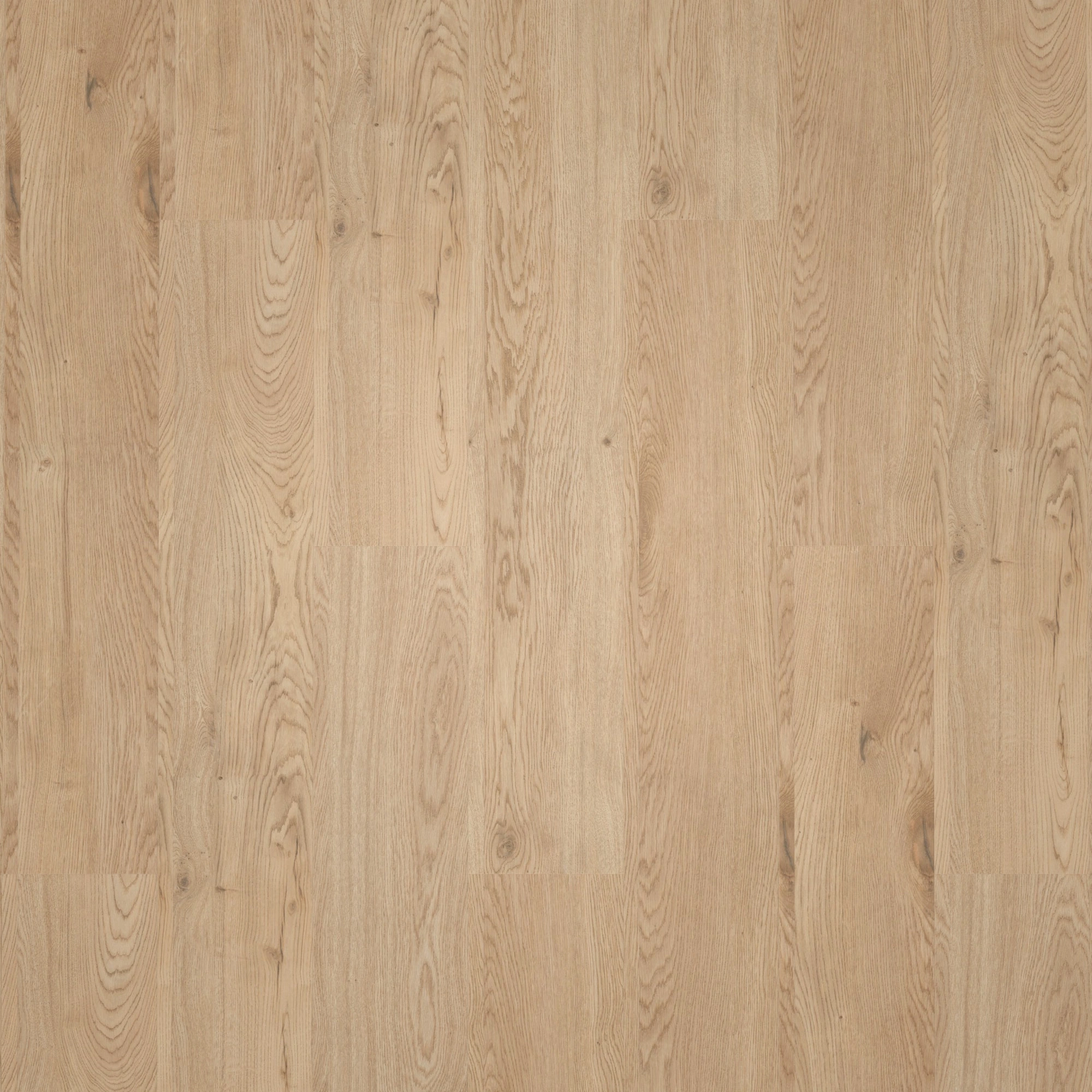 Draufsicht - ter Hürne Klebe-Vinyl Pro Grand Choice Eiche Dublin Draufsicht - ter Hürne 1101210402