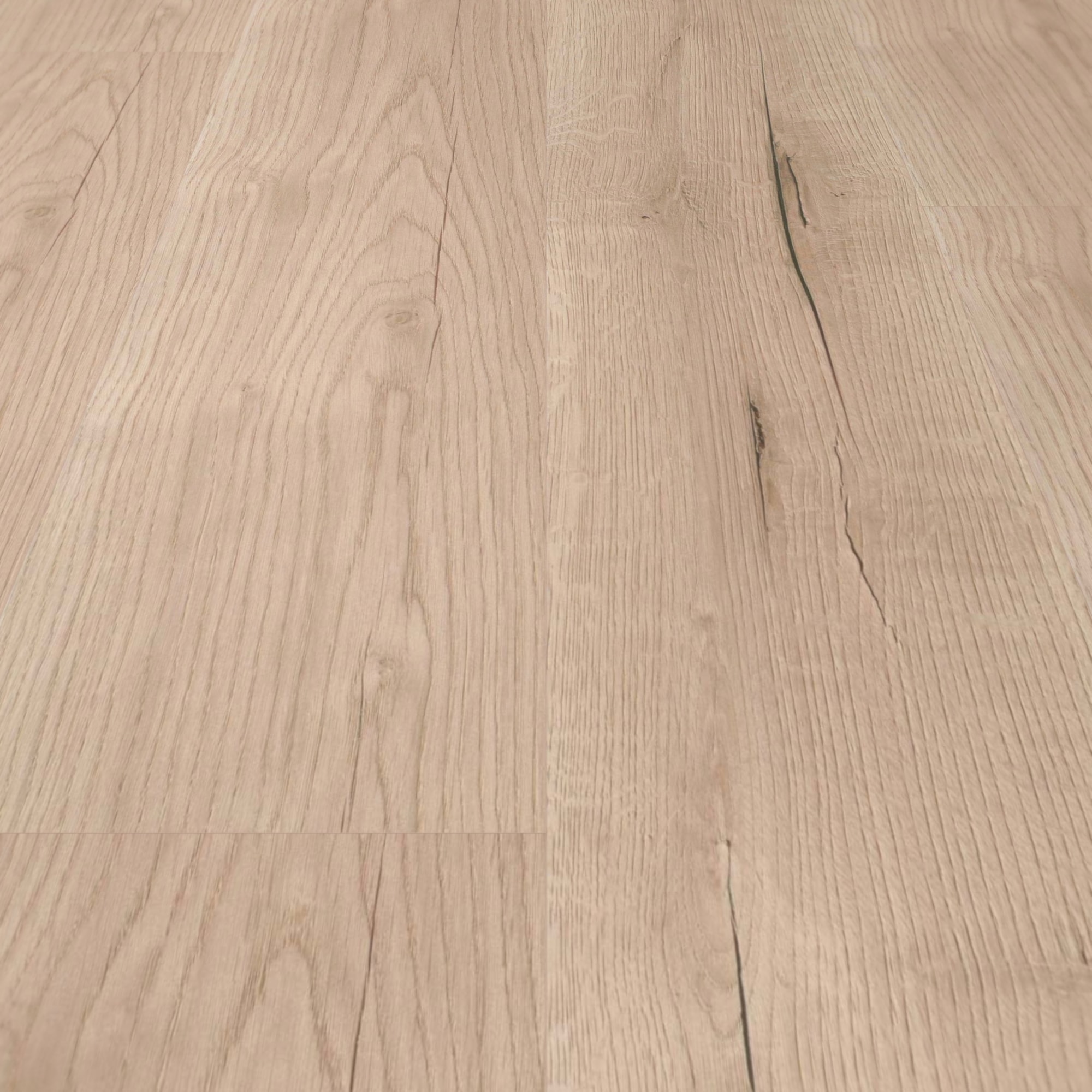 Detail Ansicht - wineo Klick-Bioboden PURLINE wineo 1000 wood L Comfort Oak Sand Detail Ansicht - wineo PLC298R