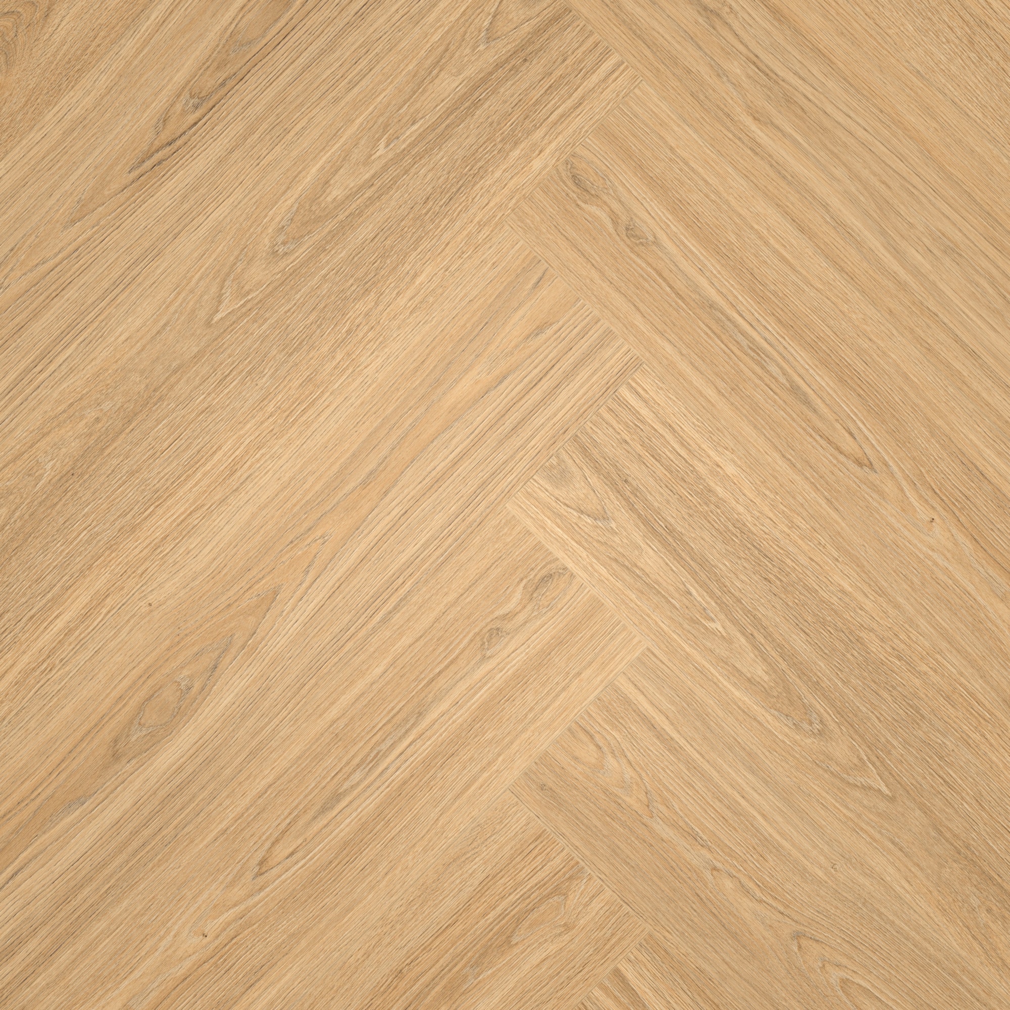 Draufsicht - MEISTER Laminat LS 350 Princess Oak sand Draufsicht - MEISTER 600001-0840168-06895
