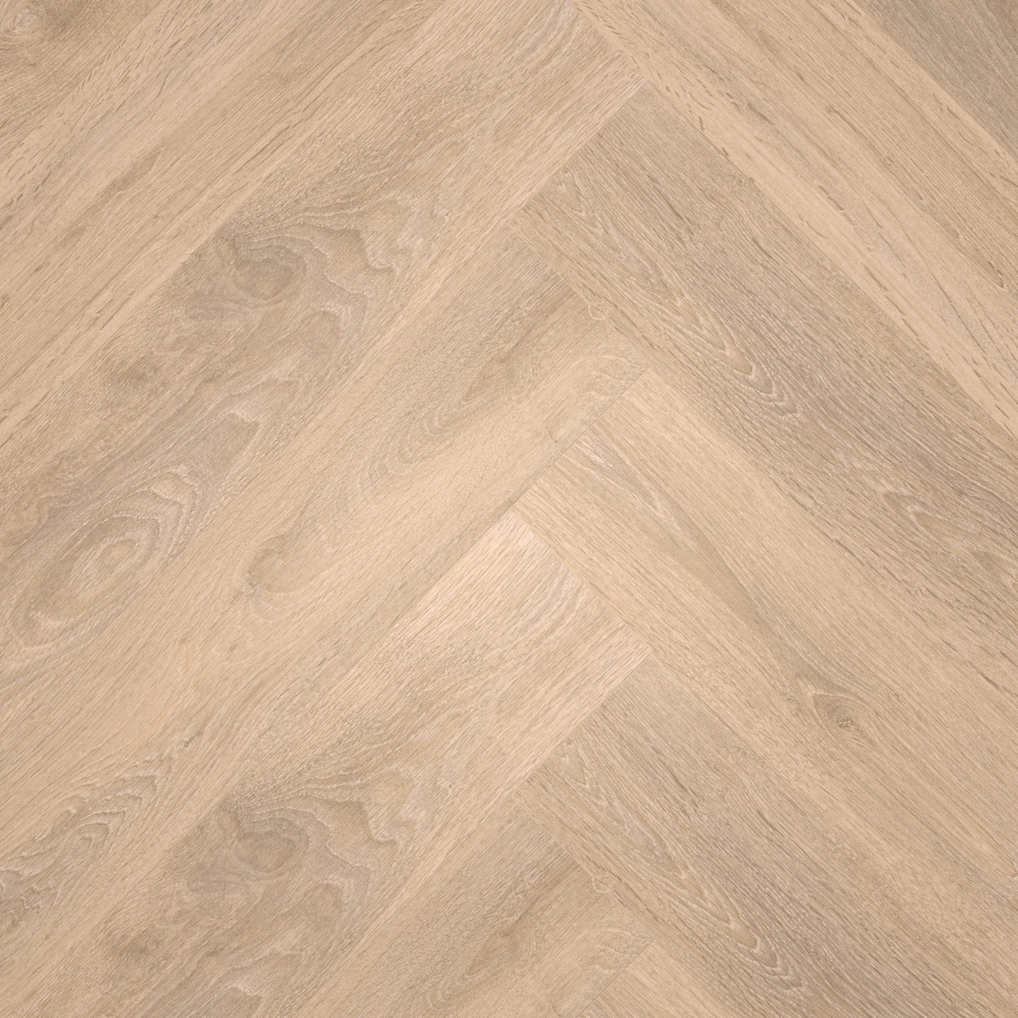 Draufsicht - MEISTER Laminat LS 350 Eiche sand Draufsicht - MEISTER 600001-0840168-07004