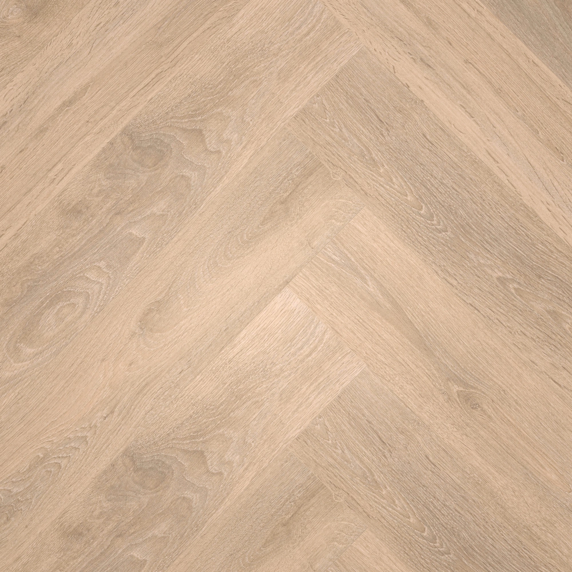 Draufsicht - MEISTER Laminat LS 350 Eiche sand Draufsicht - MEISTER 600001-0840168-07004