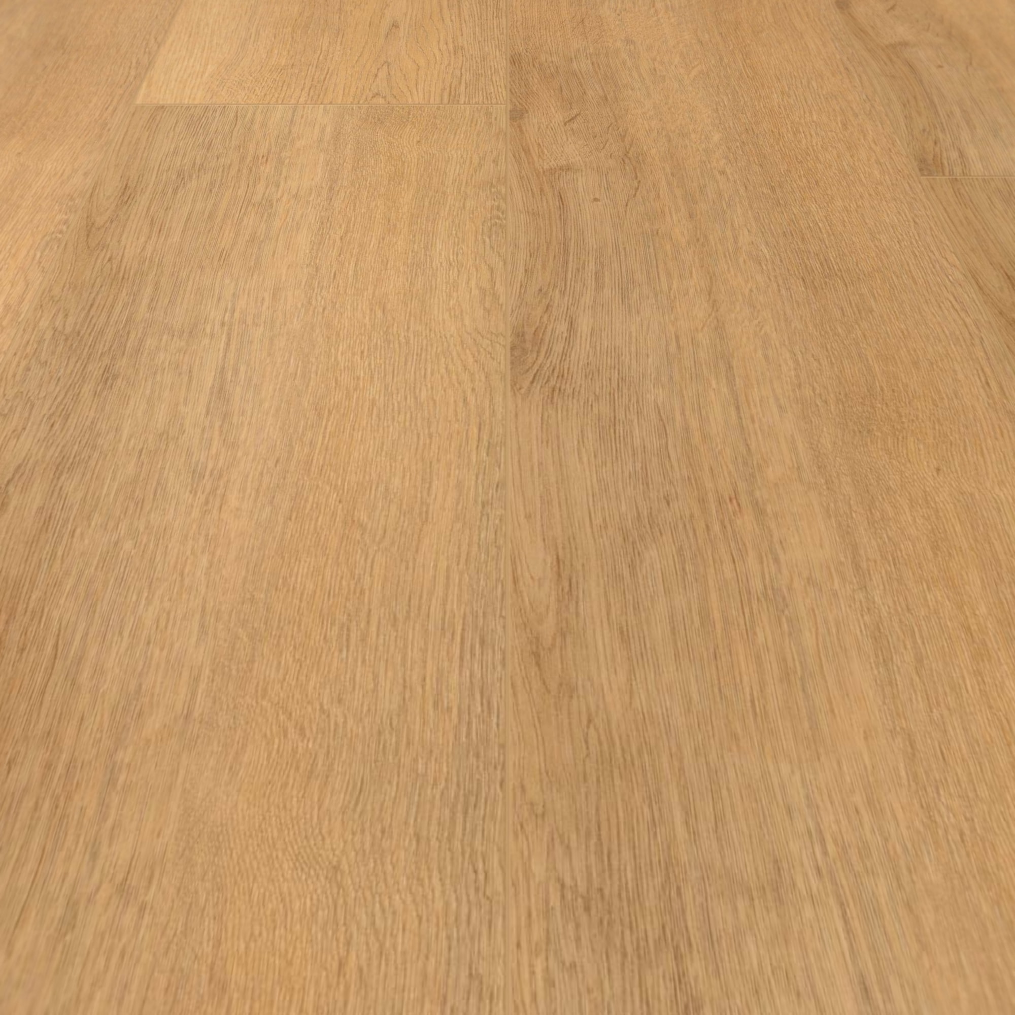 Detail Ansicht - wineo HDF Klick-Bioboden PURLINE wineo 1200 wood XXL Let's go Max Detail Ansicht - wineo MLP270R