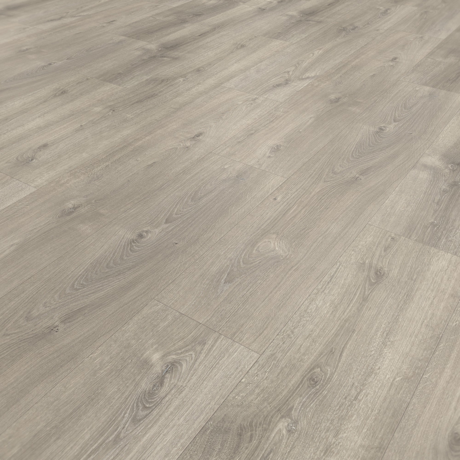 Parador Laminat Basic 600 Eiche Valere perlgrau gekälkt Naturstruktur mit Synchronstruktur Landhausdiele