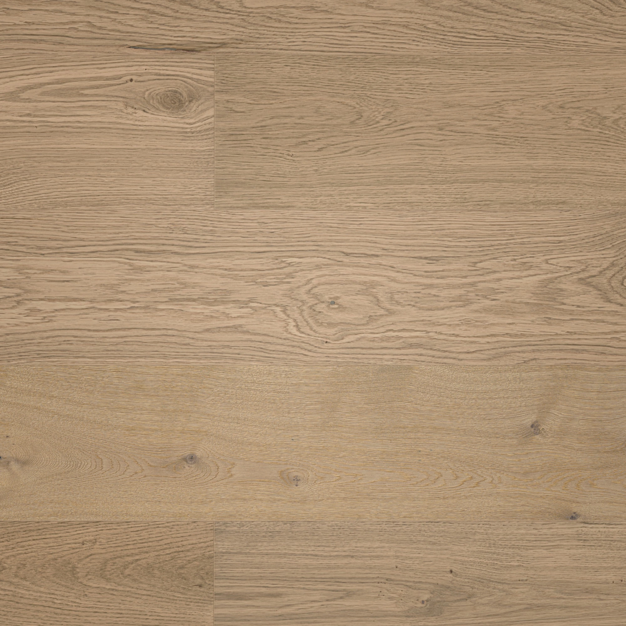 Draufsicht - MEISTER Furnierboden HD 100 Natureflex Eiche auth greige pure Draufsicht - MEISTER 500139-2200210-20018