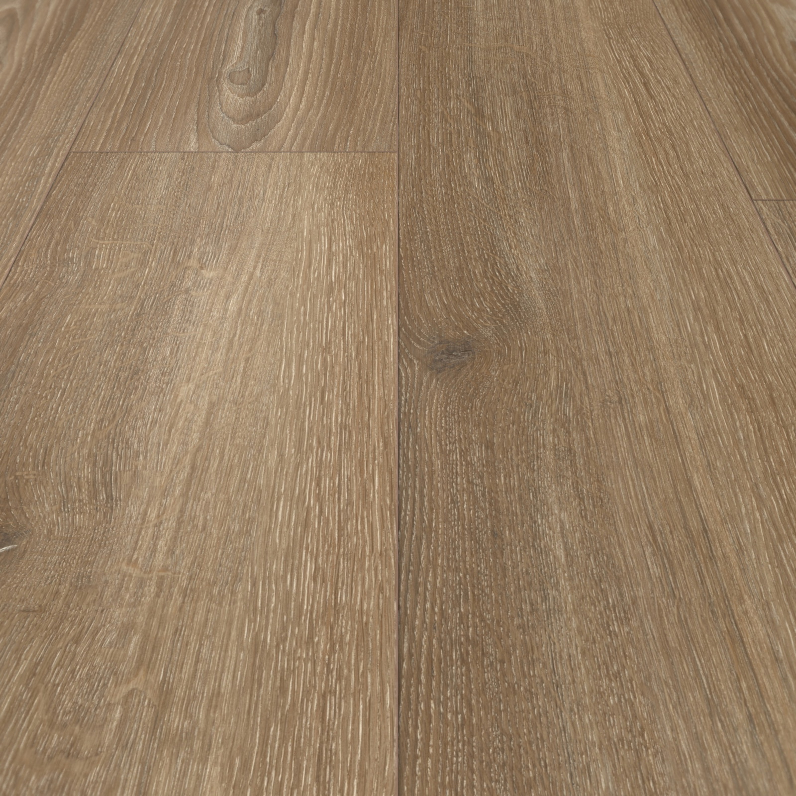 Parador Laminat Basic 600 Eiche Studioline braun Synchronstruktur Landhausdiele