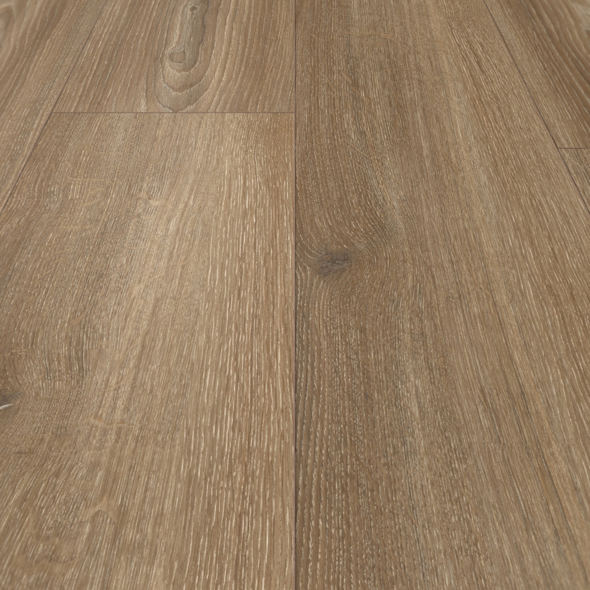 Parador Laminat Basic 600 Eiche Studioline braun Synchronstruktur Landhausdiele Parador Laminat Basic 600 Eiche Studioline braun Synchronstruktur Landhausdiele