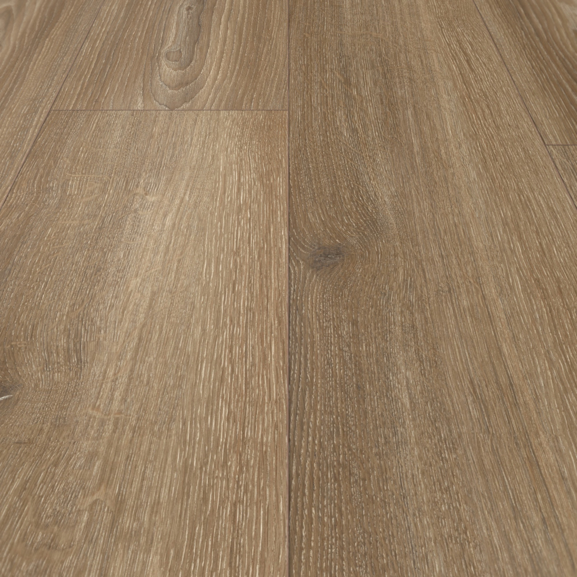 Parador Laminat Basic 600 Eiche Studioline braun Synchronstruktur Landhausdiele Parador Laminat Basic 600 Eiche Studioline braun Synchronstruktur Landhausdiele