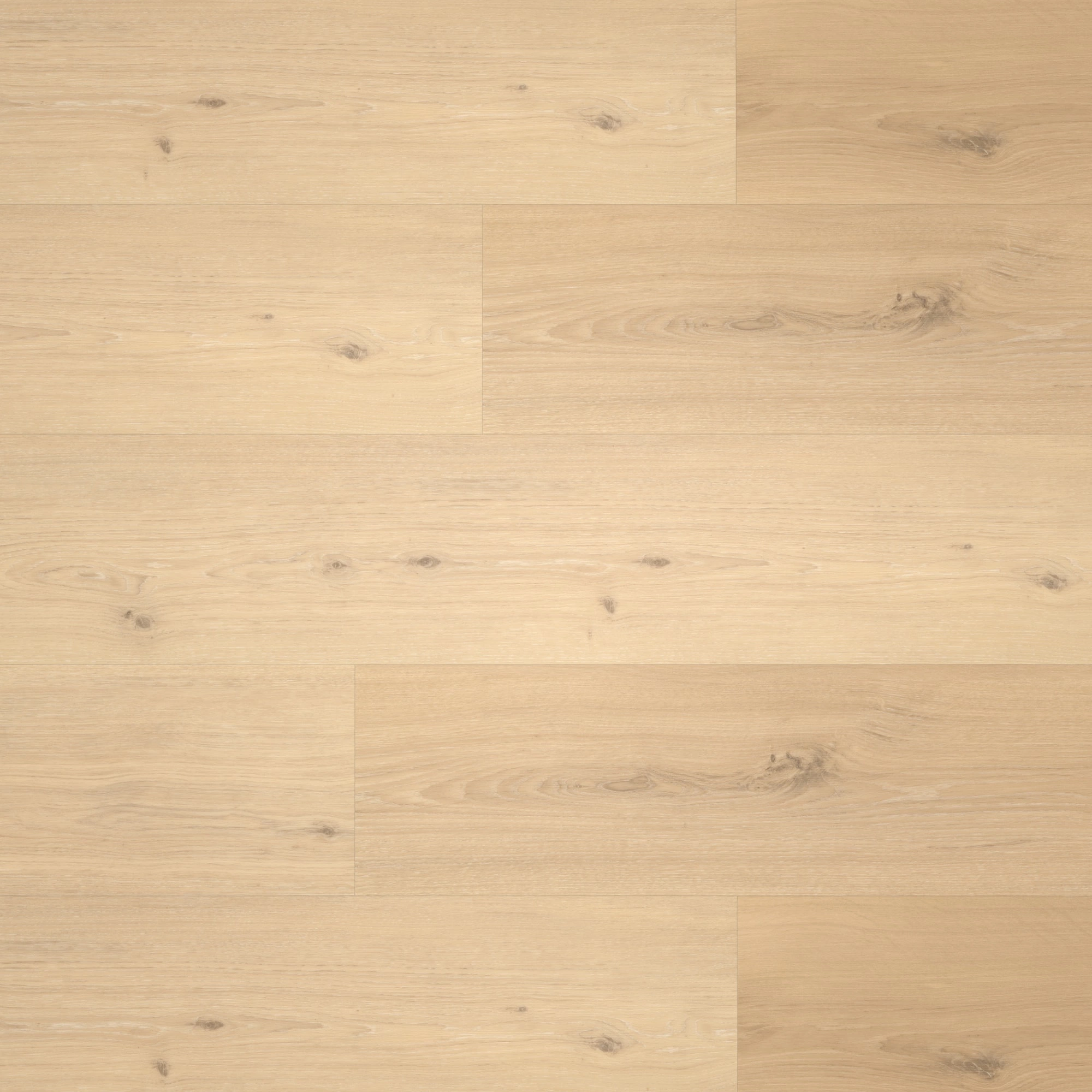 Draufsicht - Parador HDF Klick-Vinyl Classic 2030 Eiche Natural Mix hell Draufsicht - Parador 1730639