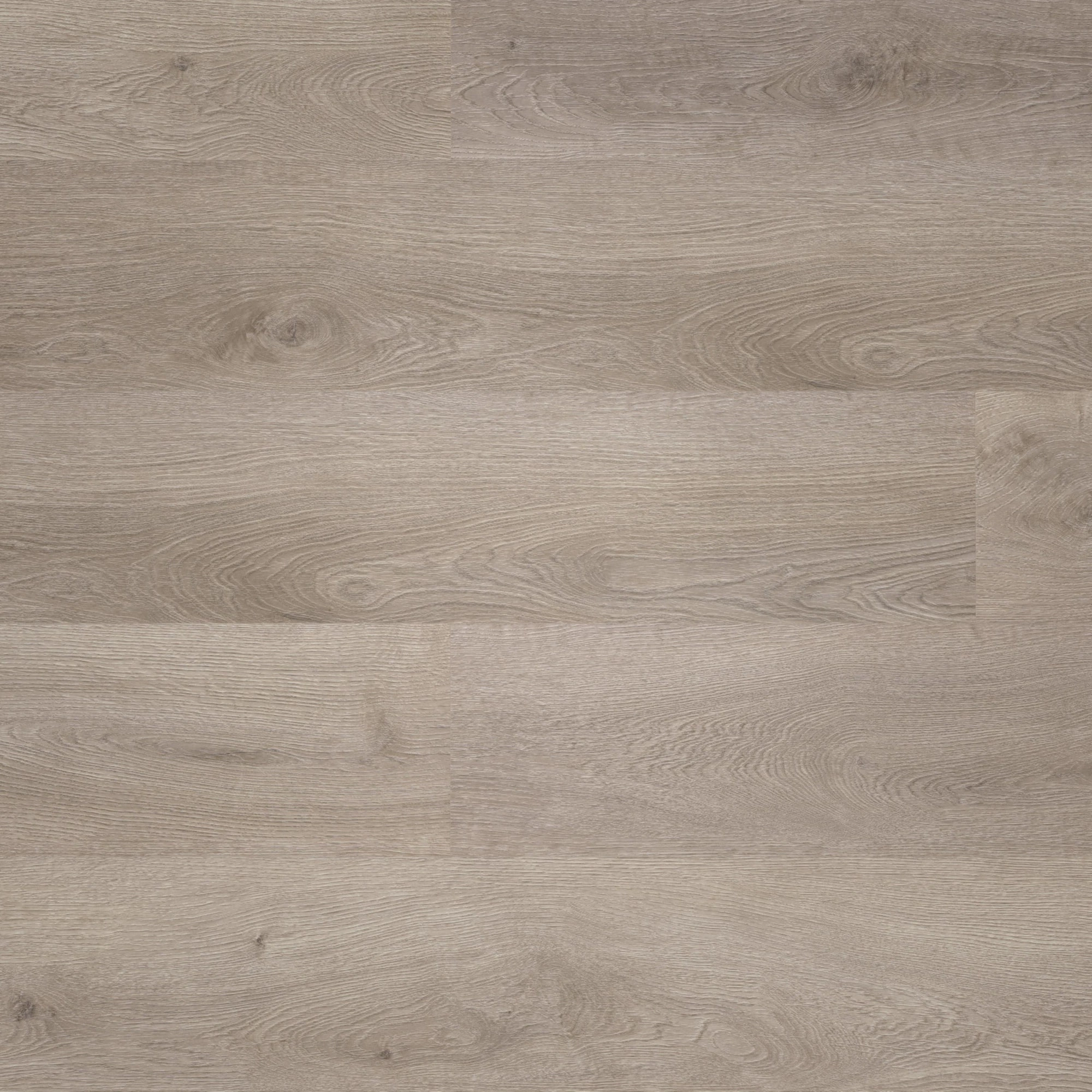 Draufsicht - wineo Rigid Klick-Vinyl wineo 400 wood L Balanced Oak Grey Draufsicht - wineo RLC287WL