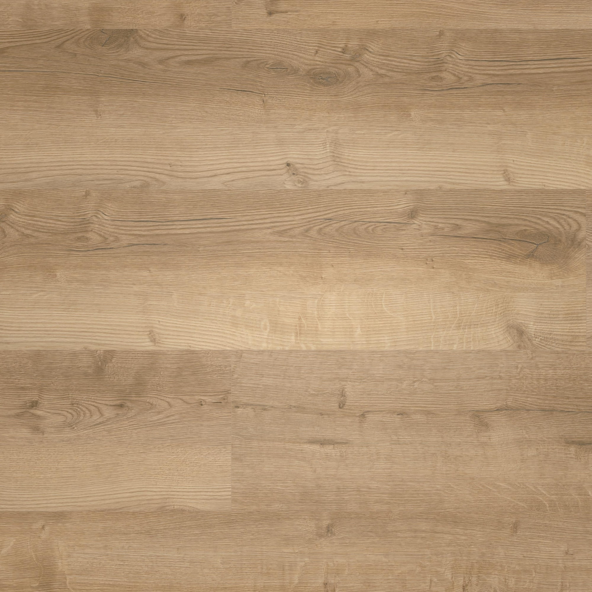 Draufsicht - wineo HDF Klick-Vinyl wineo 400 wood XL Comfort Oak Nature Draufsicht - wineo MLD291WXL
