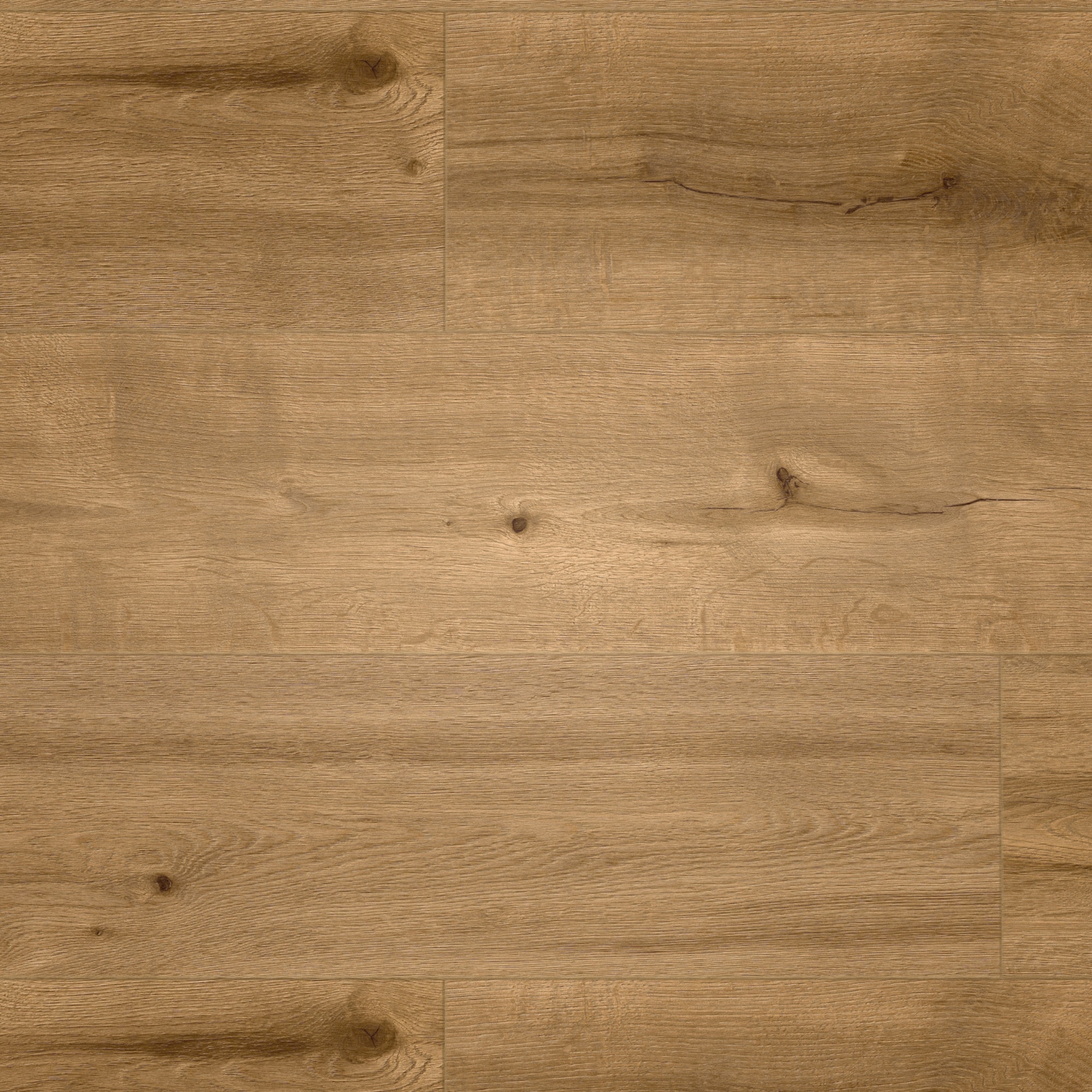 Draufsicht - MEISTER Klebe-Designboden DD 250 Tacoma Oak amber Draufsicht - MEISTER 400053-1290253-07455