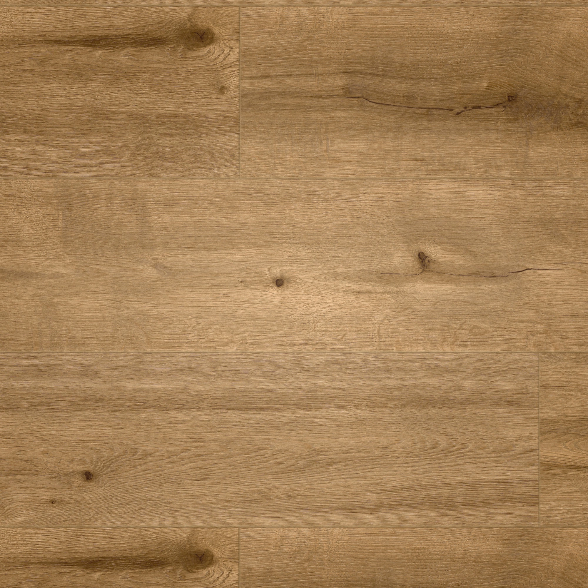 Draufsicht - MEISTER Klebe-Designboden DD 250 Tacoma Oak amber Draufsicht - MEISTER 400053-1290253-07455