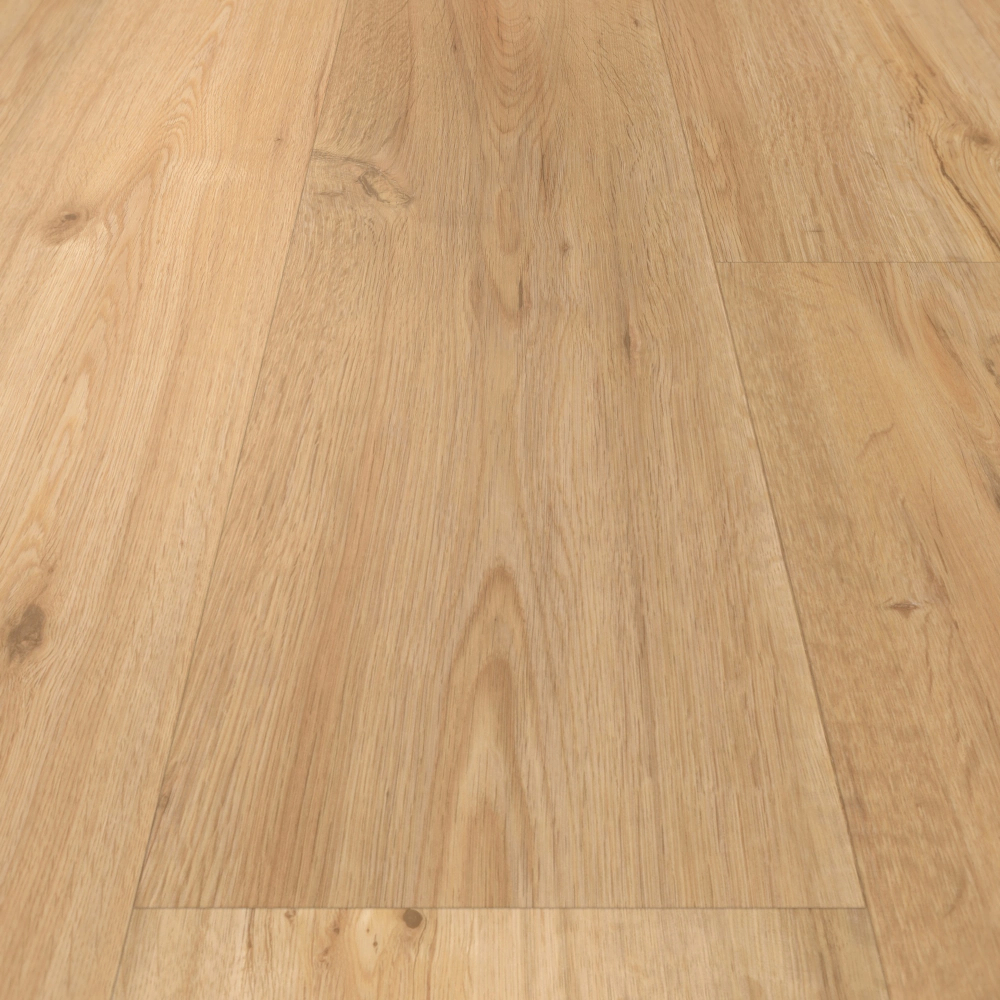 Detail Ansicht - Parador Klebe-Vinyl Classic 2025 Eiche natur Detail Ansicht - Parador 1748872