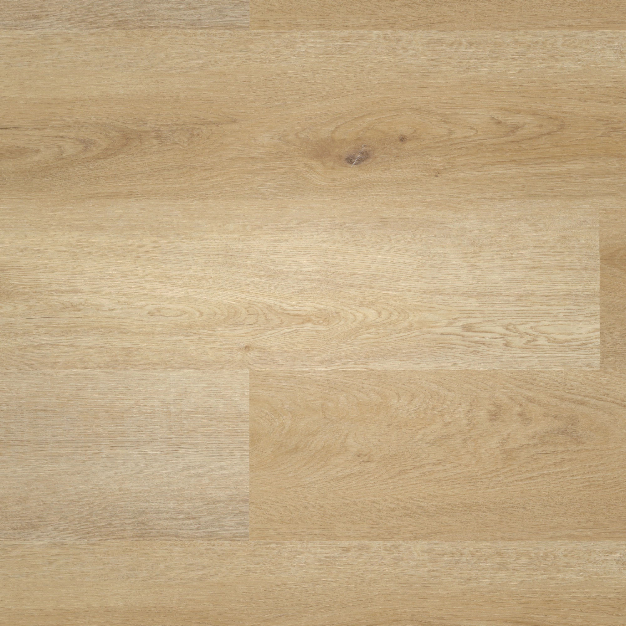 Draufsicht - nexflor Klebe-Vinyl Artemis Collection Elis Oak Draufsicht - nexflor NXF-70055-004