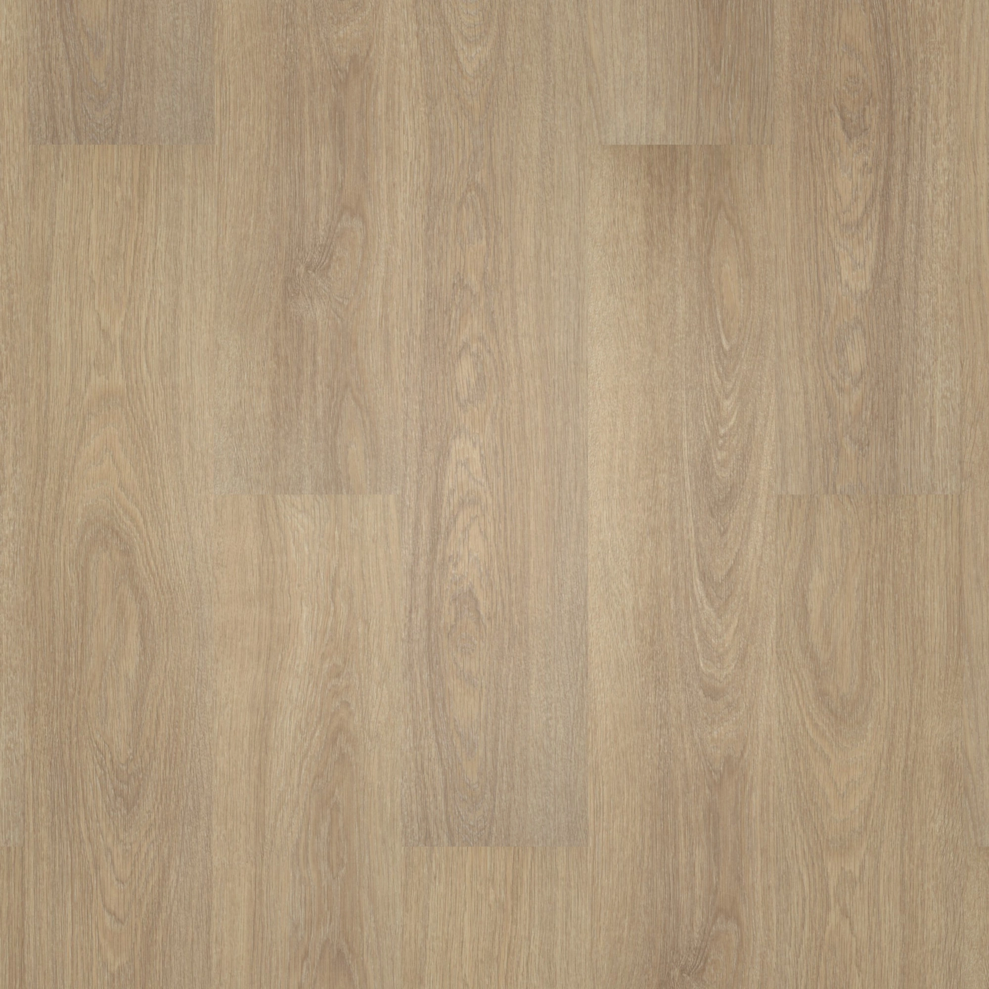 Detail Ansicht - Forbo Flooring Klebe-Vinyl Allura Dryback 0.55 Wood Grey Giant Oak Detail Ansicht - Forbo Flooring 220108