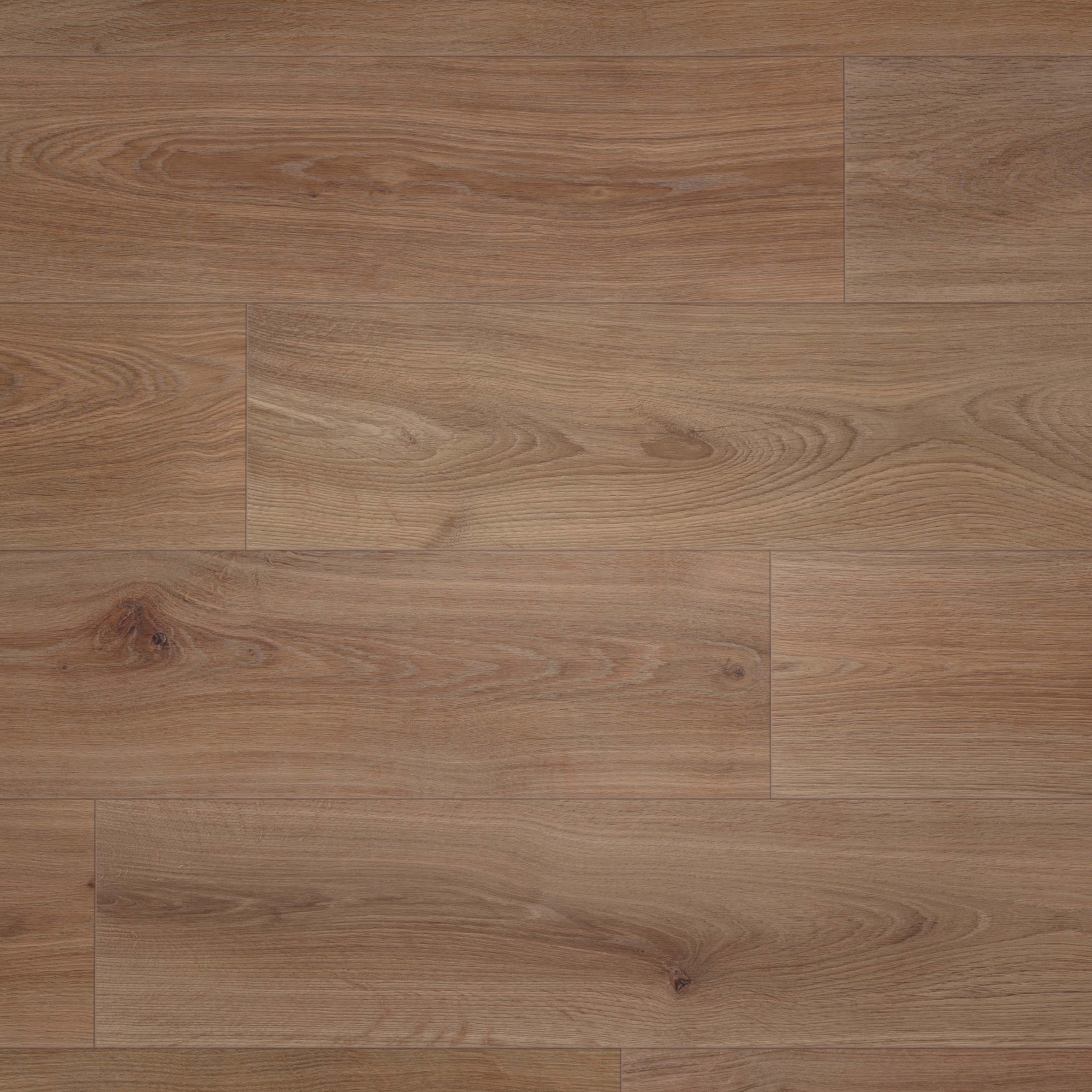 Draufsicht - wineo Klick-Bioboden PURLINE wineo 1000 wood XL Noble Oak Chocolate Draufsicht - wineo PLC312R